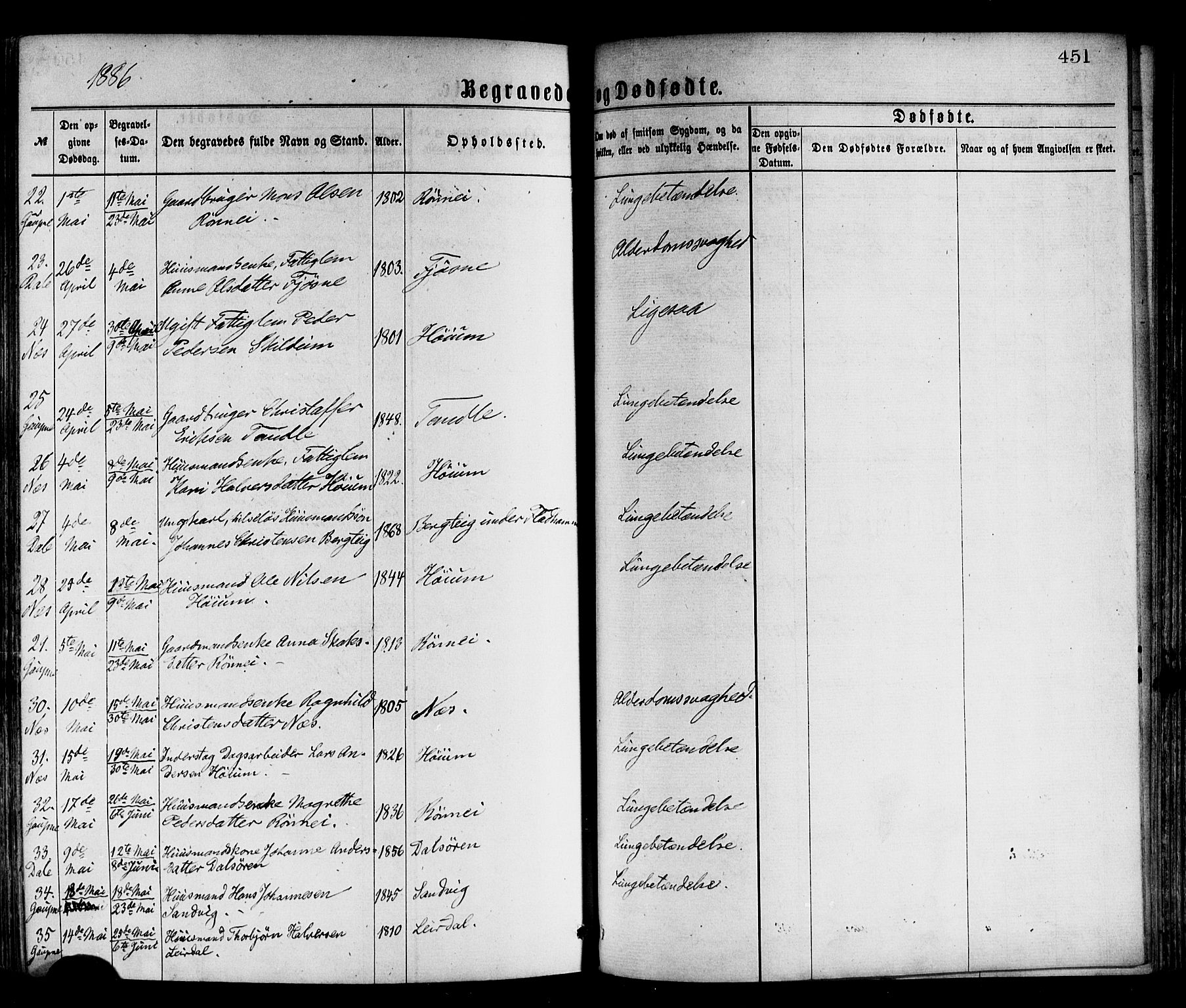 Luster sokneprestembete, AV/SAB-A-81101/H/Haa/Haaa/L0010: Parish register (official) no. A 10, 1871-1886, p. 451