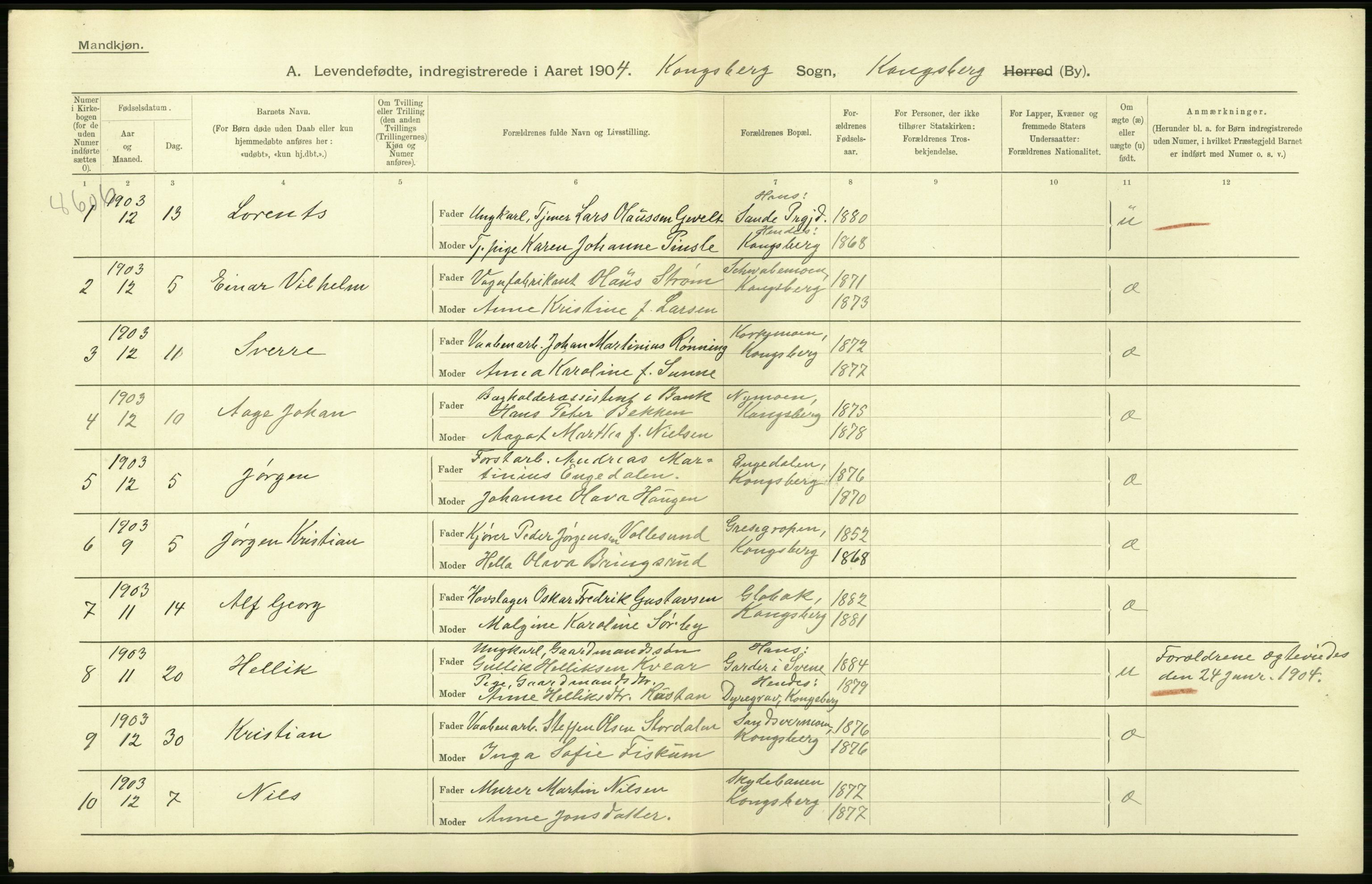 Statistisk sentralbyrå, Sosiodemografiske emner, Befolkning, AV/RA-S-2228/D/Df/Dfa/Dfab/L0007: Buskerud amt: Fødte, gifte, døde, 1904, p. 494