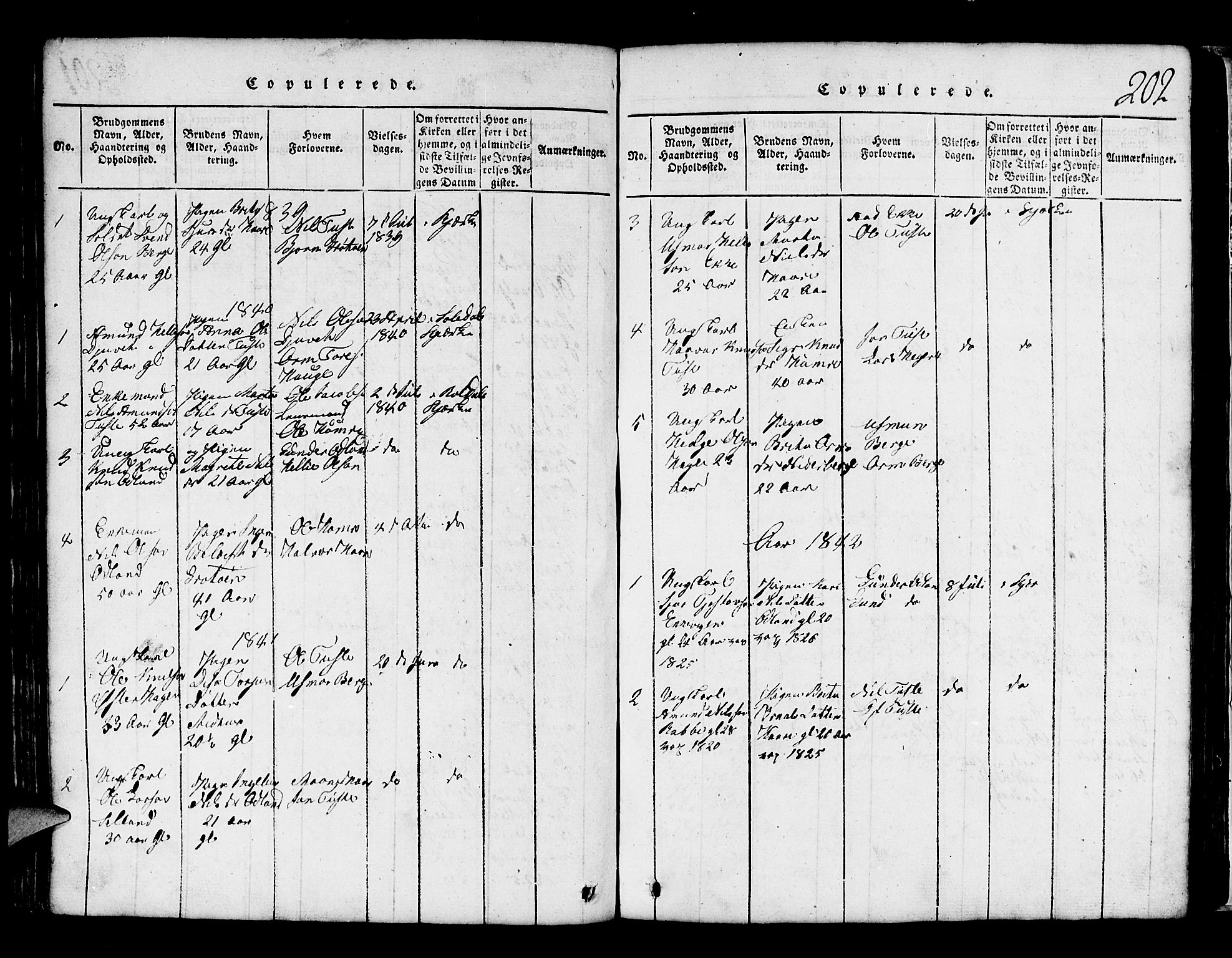 Røldal sokneprestembete, SAB/A-100247: Parish register (copy) no. A 1, 1817-1860, p. 202