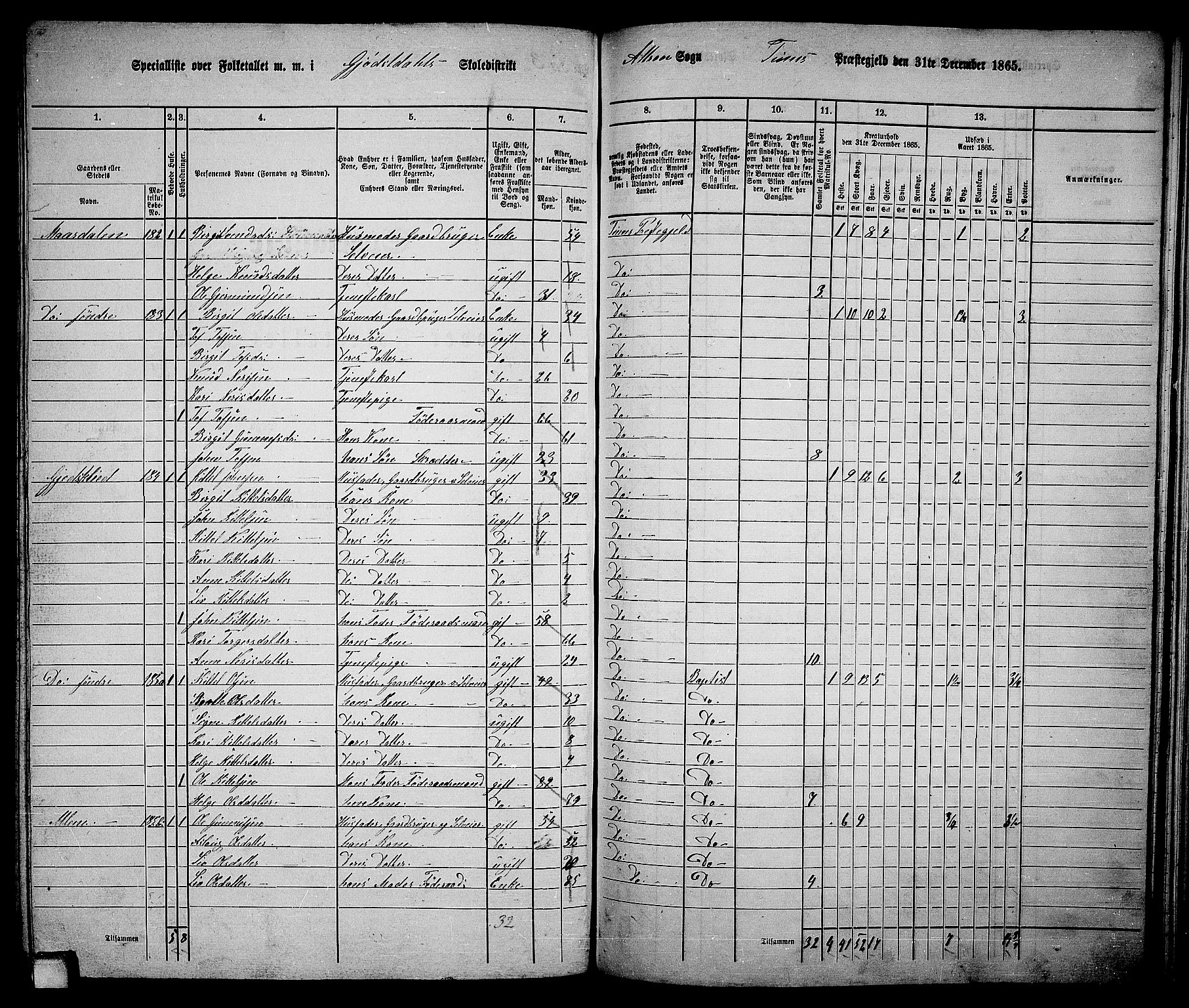 RA, 1865 census for Tinn, 1865, p. 49