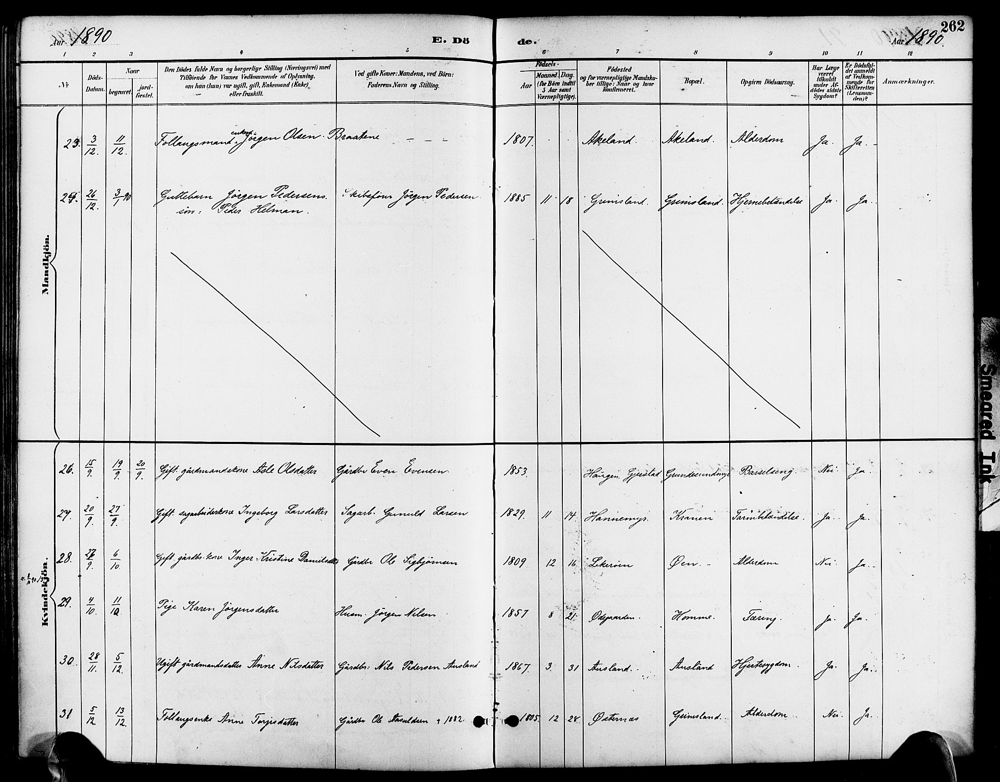 Søndeled sokneprestkontor, AV/SAK-1111-0038/F/Fa/L0005: Parish register (official) no. A 5, 1889-1899, p. 262