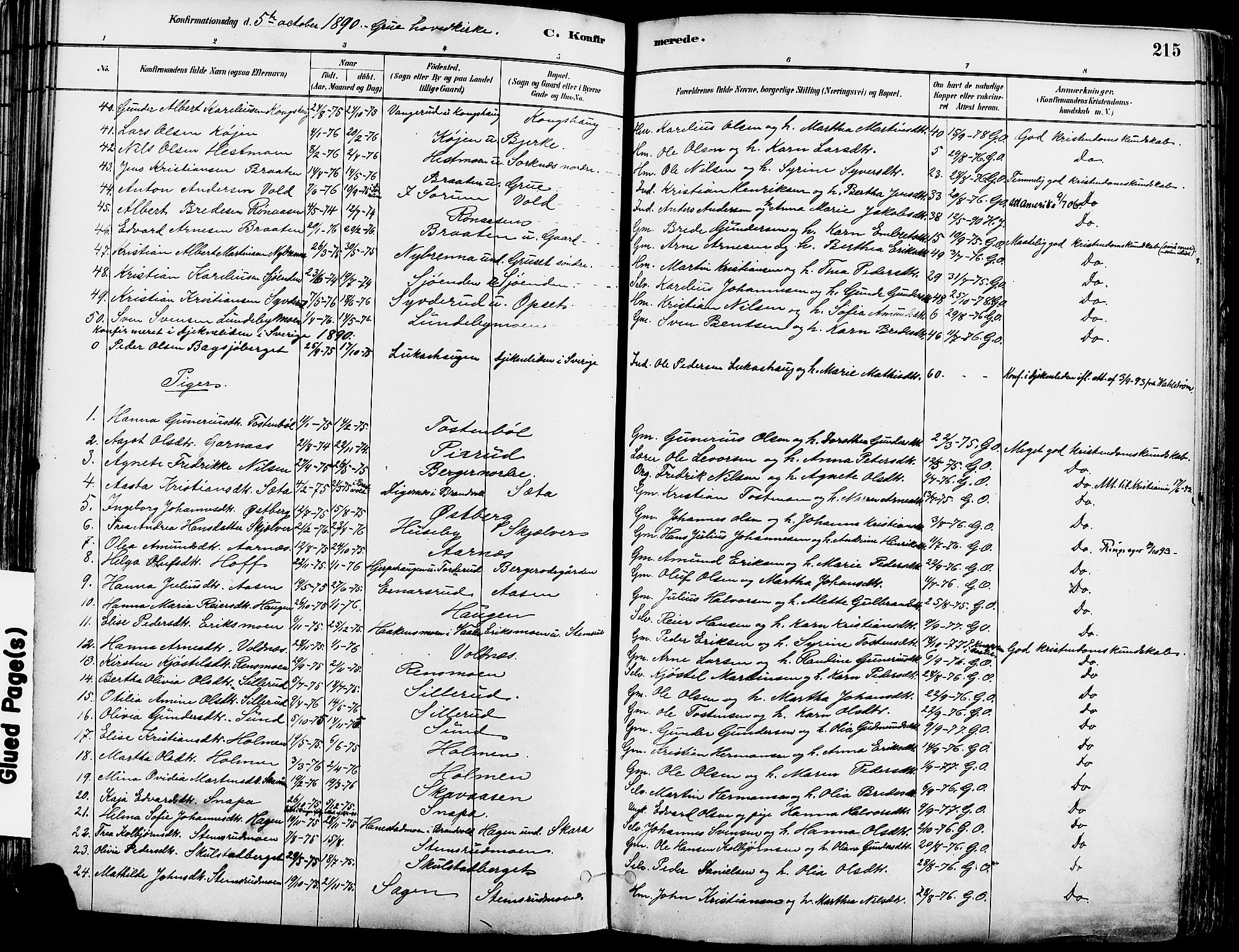 Grue prestekontor, AV/SAH-PREST-036/H/Ha/Haa/L0012: Parish register (official) no. 12, 1881-1897, p. 215