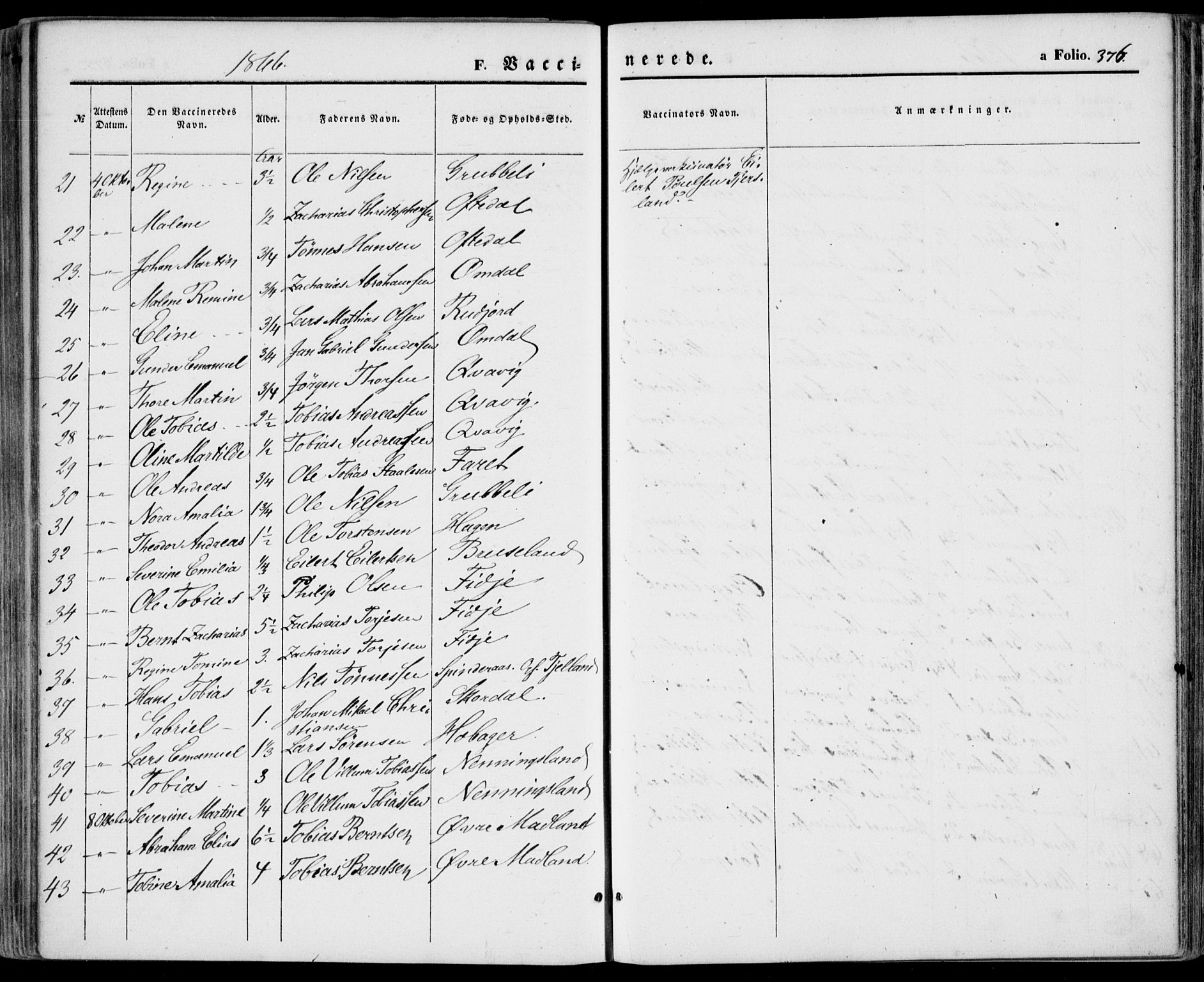 Lyngdal sokneprestkontor, AV/SAK-1111-0029/F/Fa/Fac/L0010: Parish register (official) no. A 10, 1865-1878, p. 376