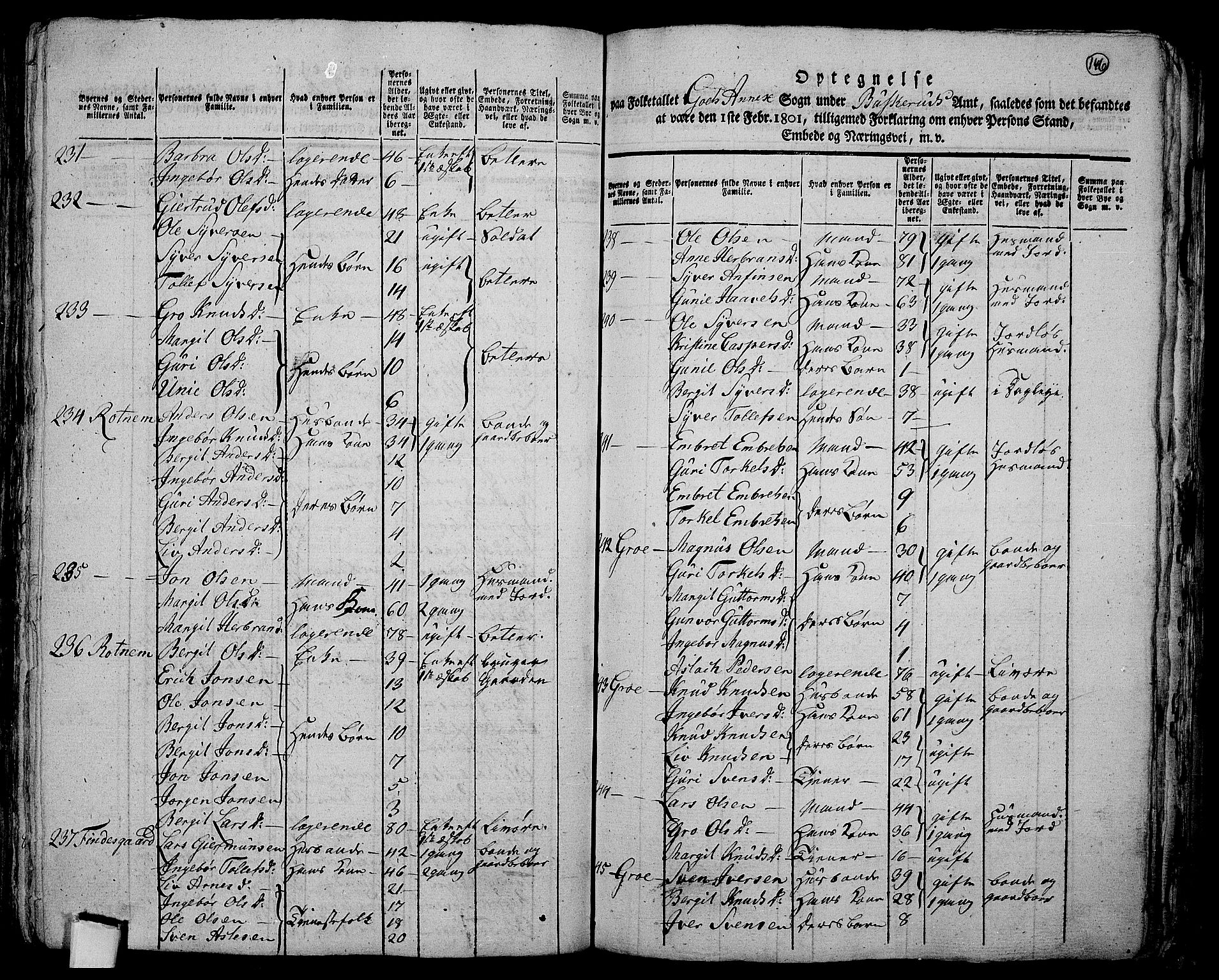 RA, 1801 census for 0616P Nes, 1801, p. 145b-146a