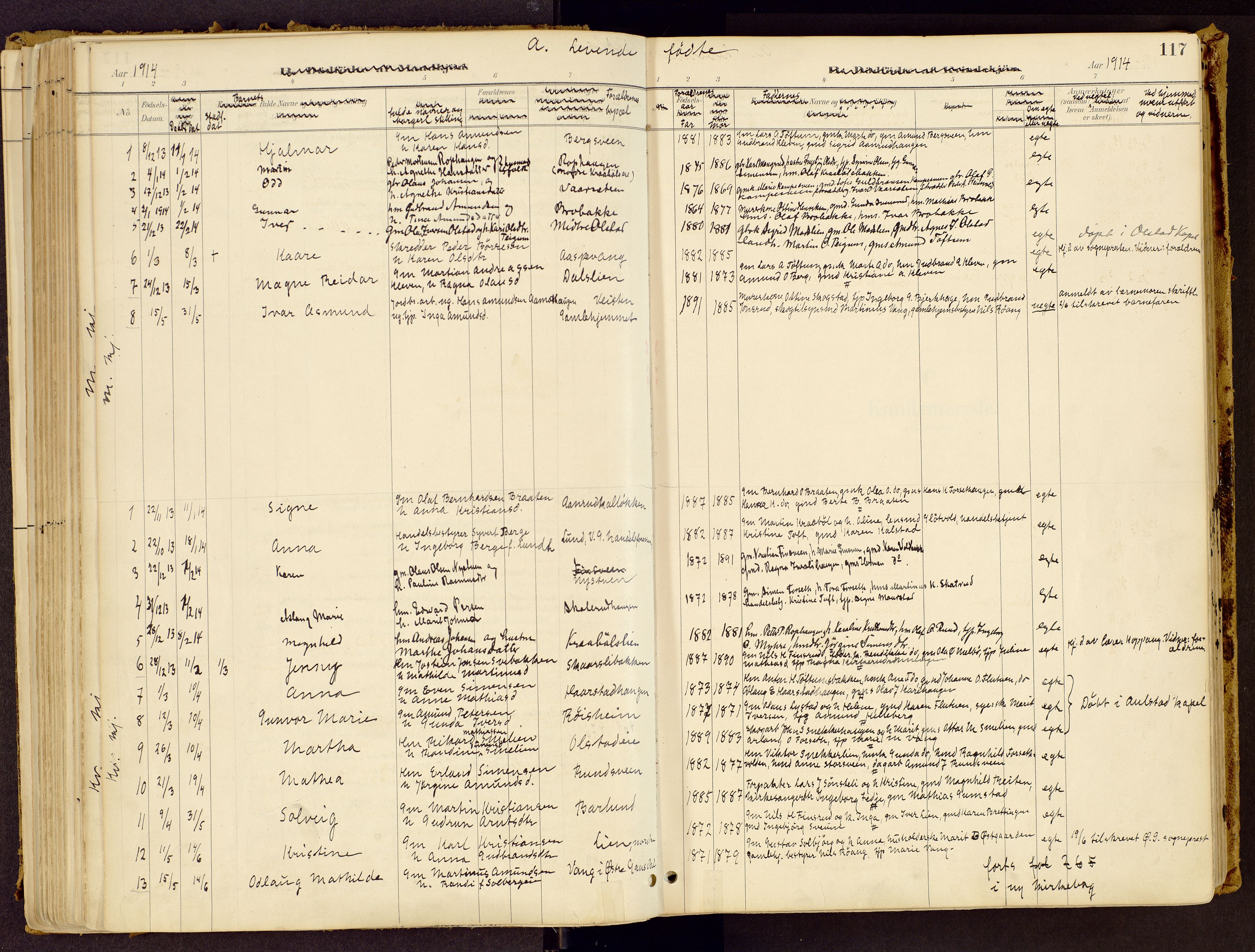 Vestre Gausdal prestekontor, SAH/PREST-094/H/Ha/Haa/L0001: Parish register (official) no. 1, 1887-1914, p. 117