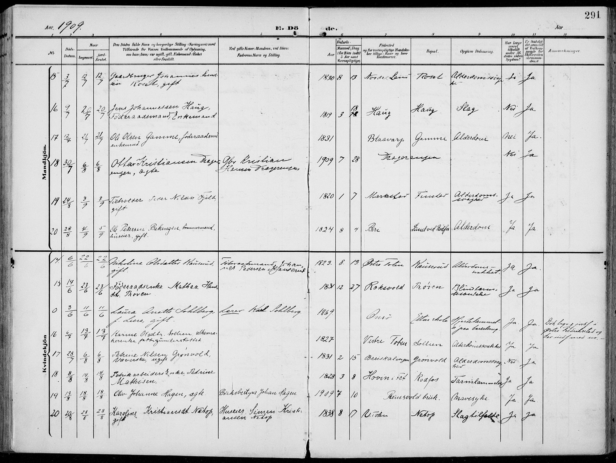 Vestre Toten prestekontor, AV/SAH-PREST-108/H/Ha/Haa/L0014: Parish register (official) no. 14, 1907-1920, p. 291