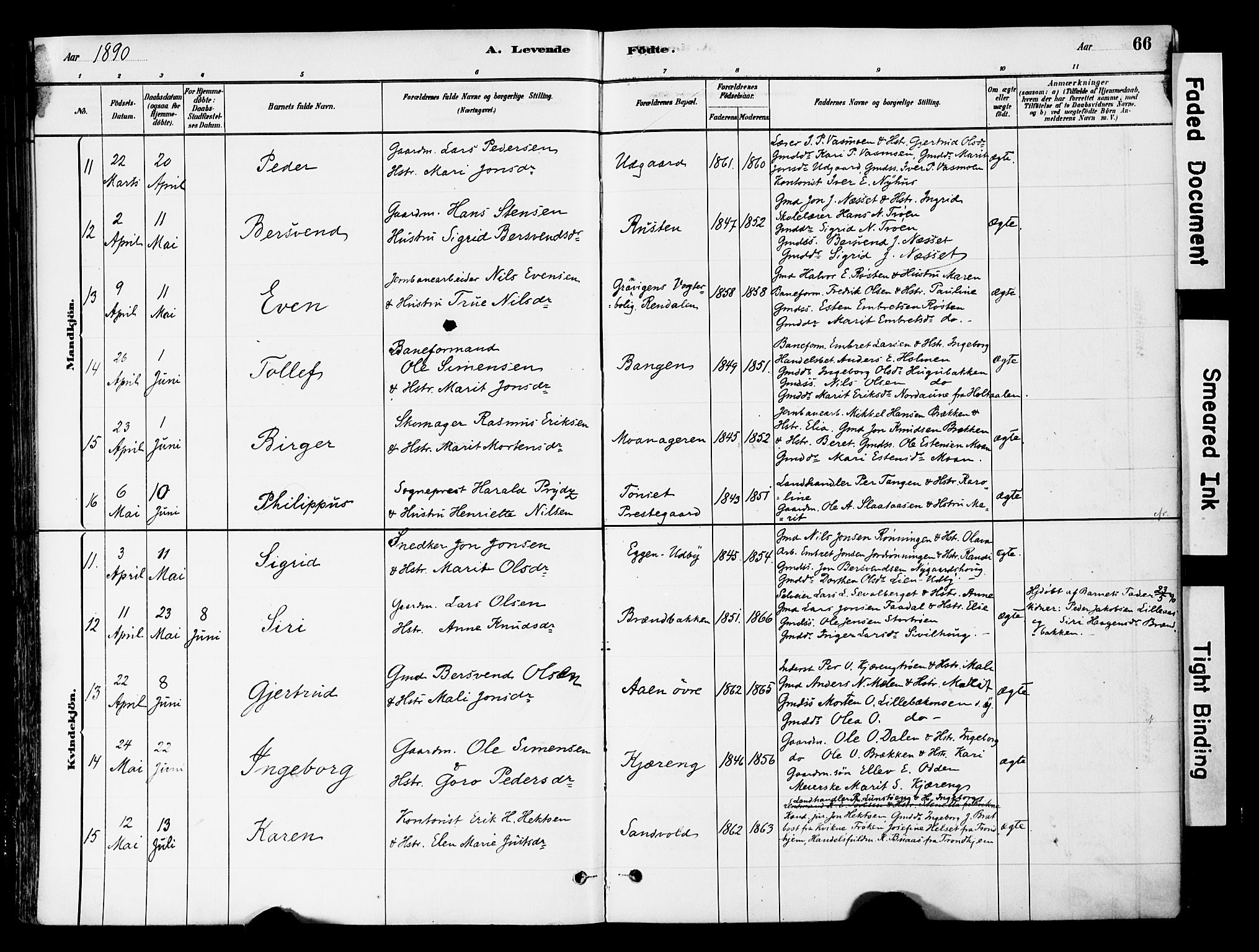 Tynset prestekontor, AV/SAH-PREST-058/H/Ha/Haa/L0022: Parish register (official) no. 22, 1880-1899, p. 66