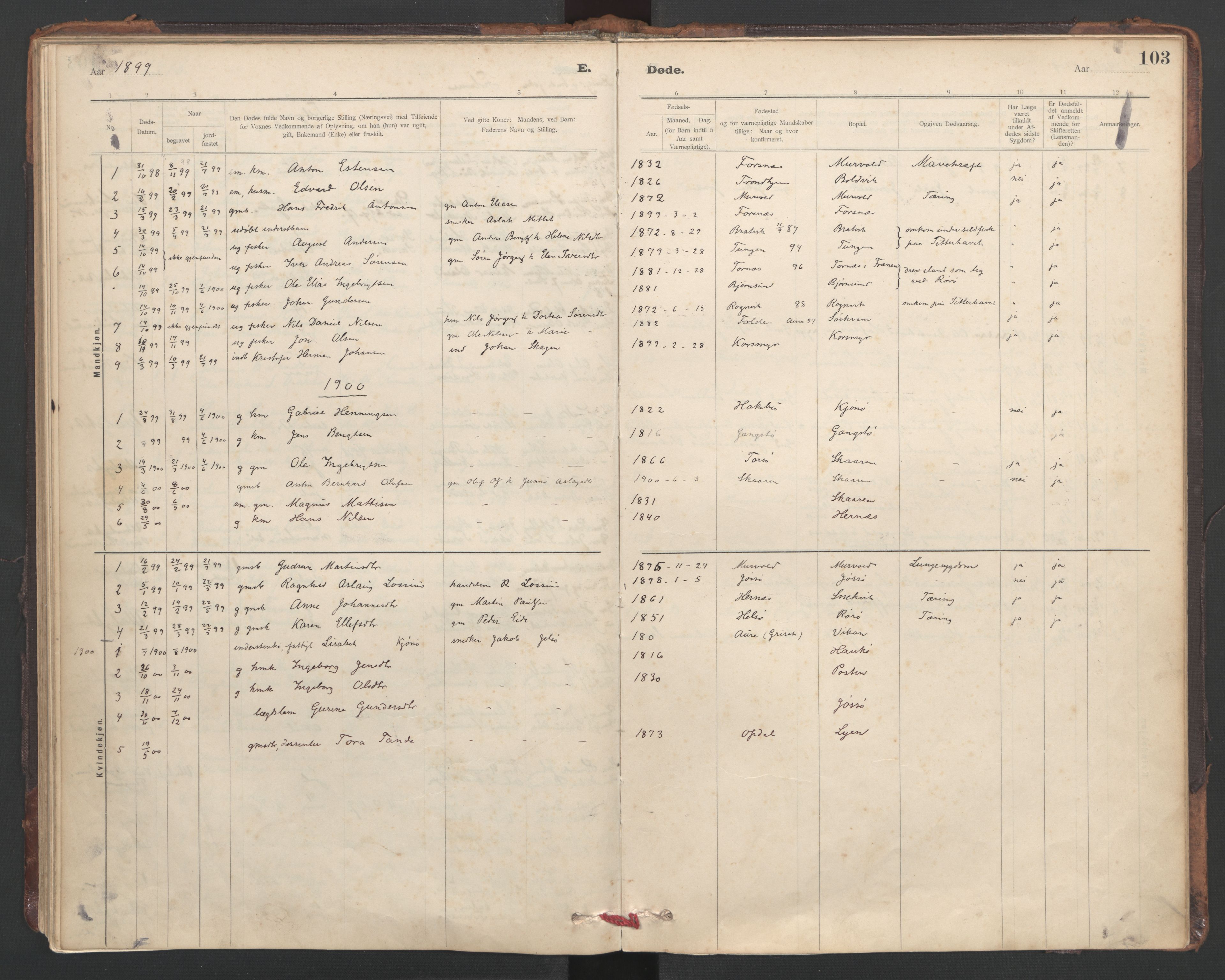 Ministerialprotokoller, klokkerbøker og fødselsregistre - Sør-Trøndelag, SAT/A-1456/635/L0552: Parish register (official) no. 635A02, 1899-1919, p. 103