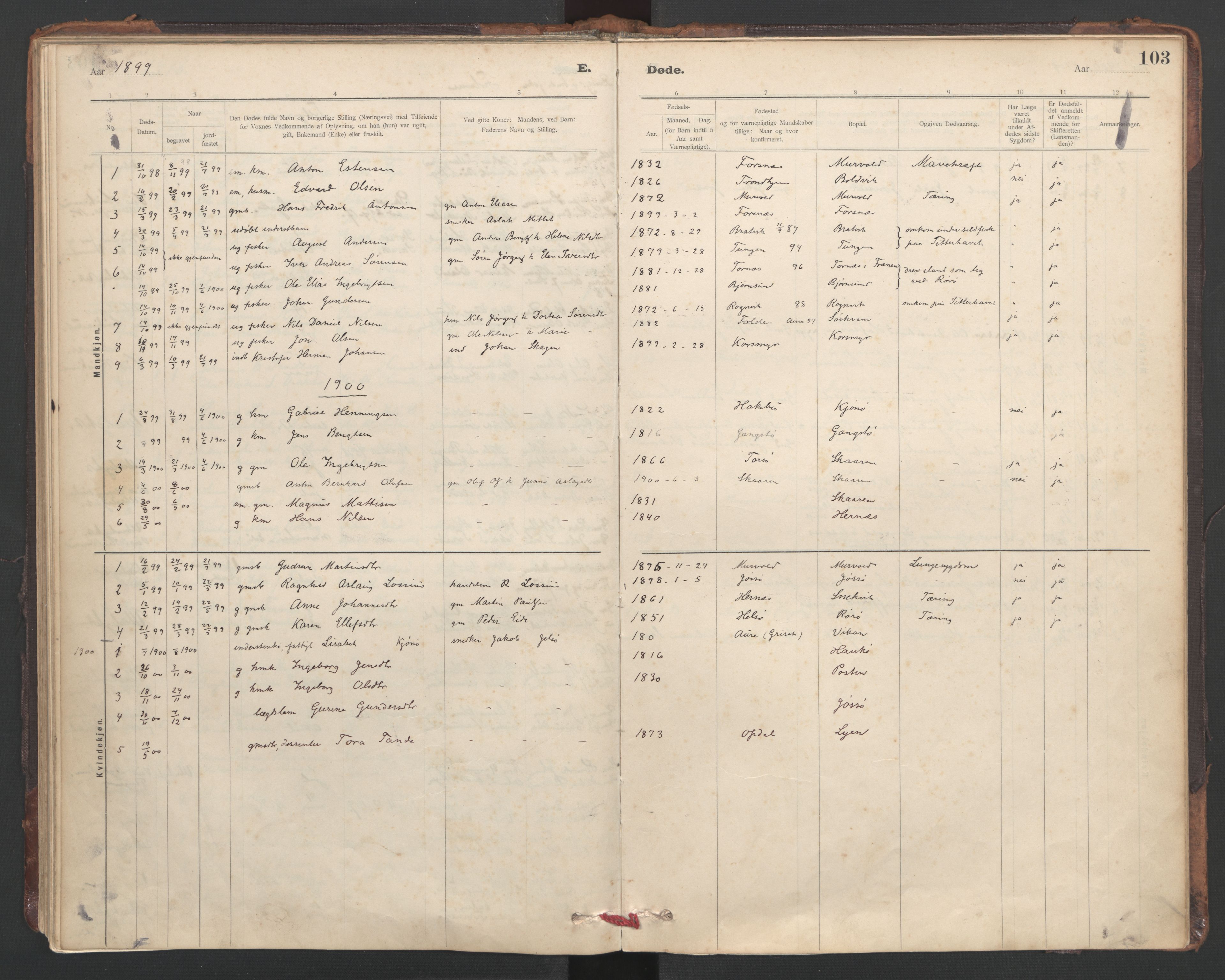 Ministerialprotokoller, klokkerbøker og fødselsregistre - Sør-Trøndelag, AV/SAT-A-1456/635/L0552: Parish register (official) no. 635A02, 1899-1919, p. 103