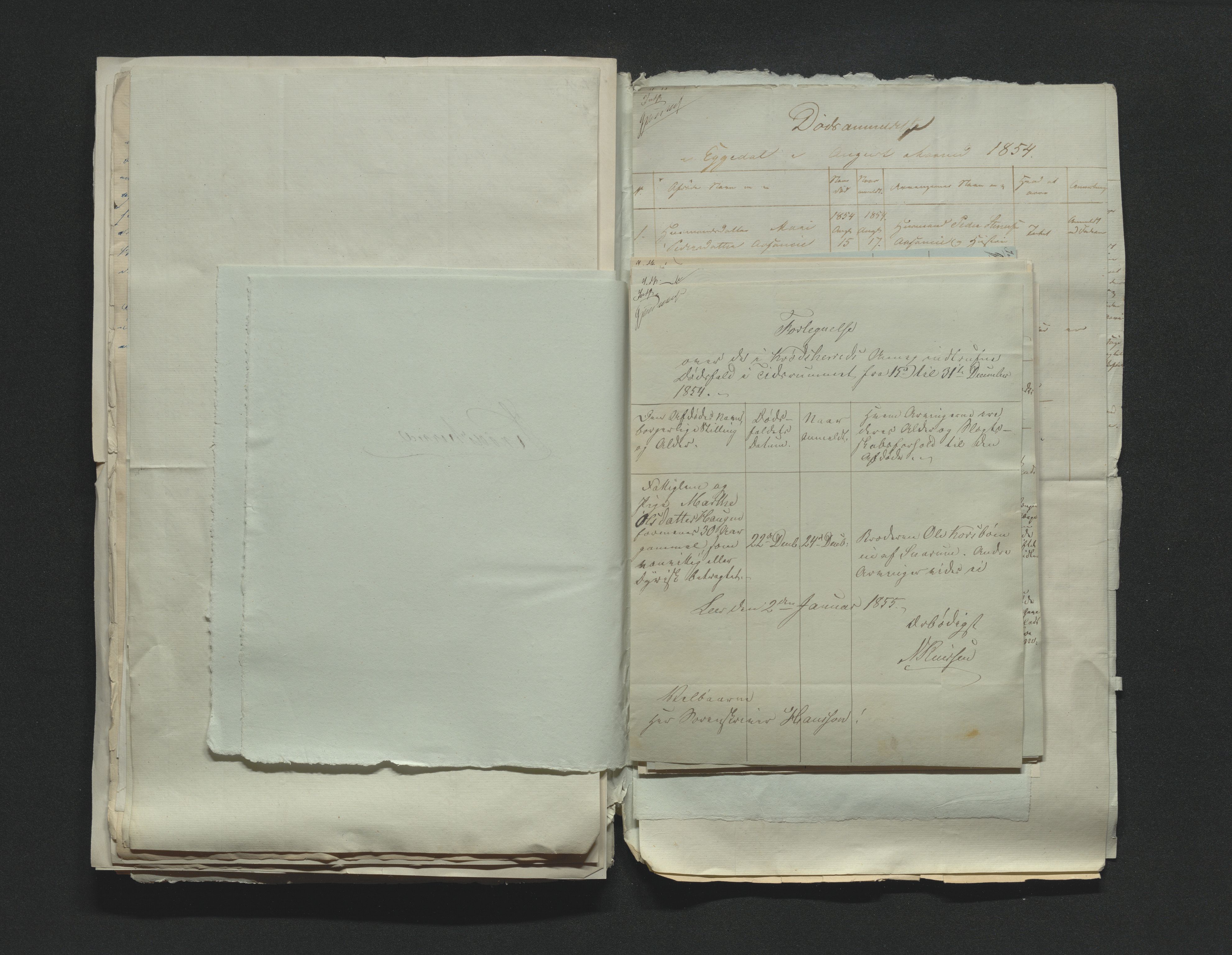 Eiker, Modum og Sigdal sorenskriveri, AV/SAKO-A-123/H/Ha/Hab/L0009: Dødsfallsmeldinger, 1854-1857, p. 96
