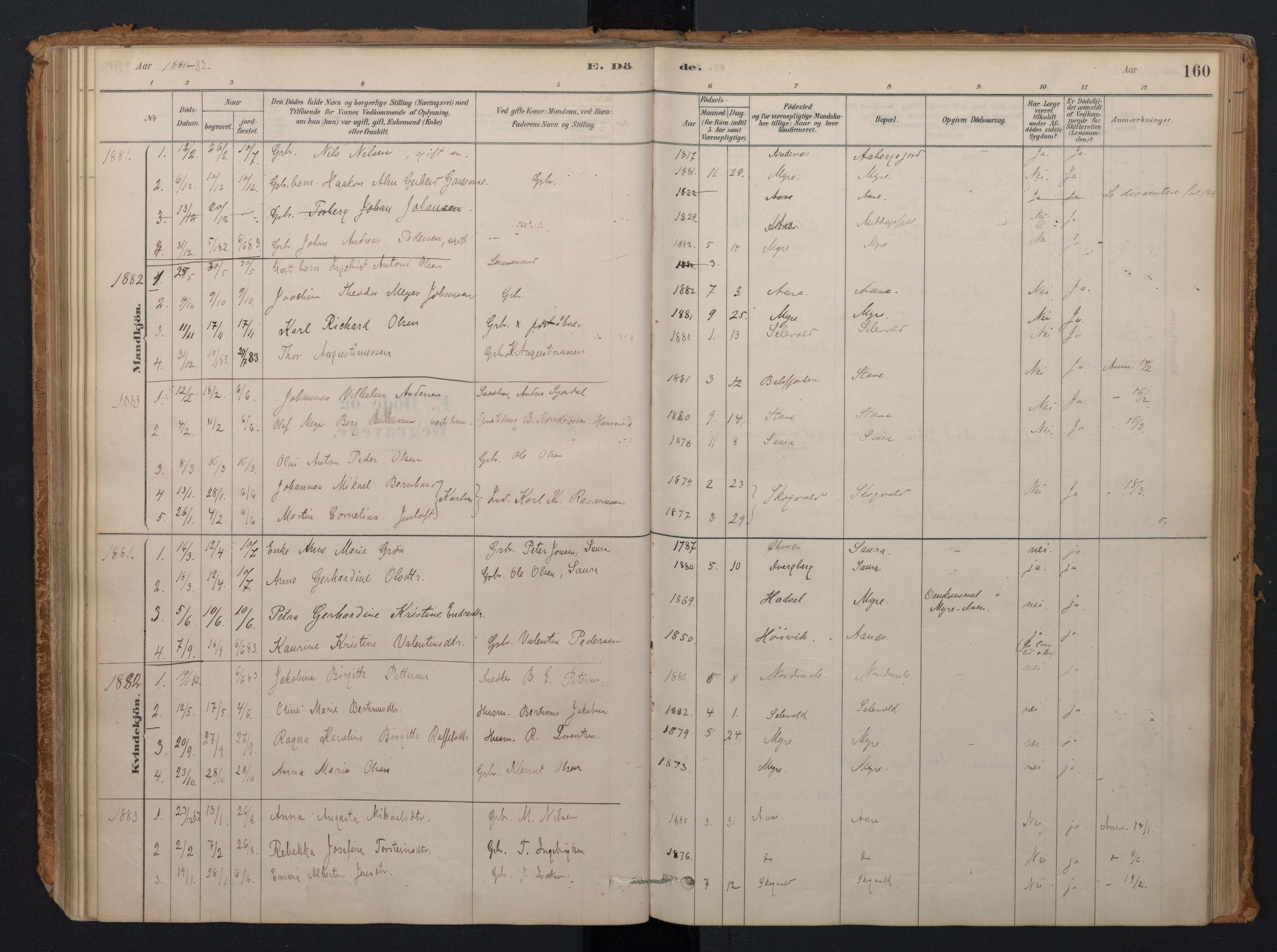 Ministerialprotokoller, klokkerbøker og fødselsregistre - Nordland, AV/SAT-A-1459/897/L1399: Parish register (official) no. 897A06, 1881-1896, p. 160