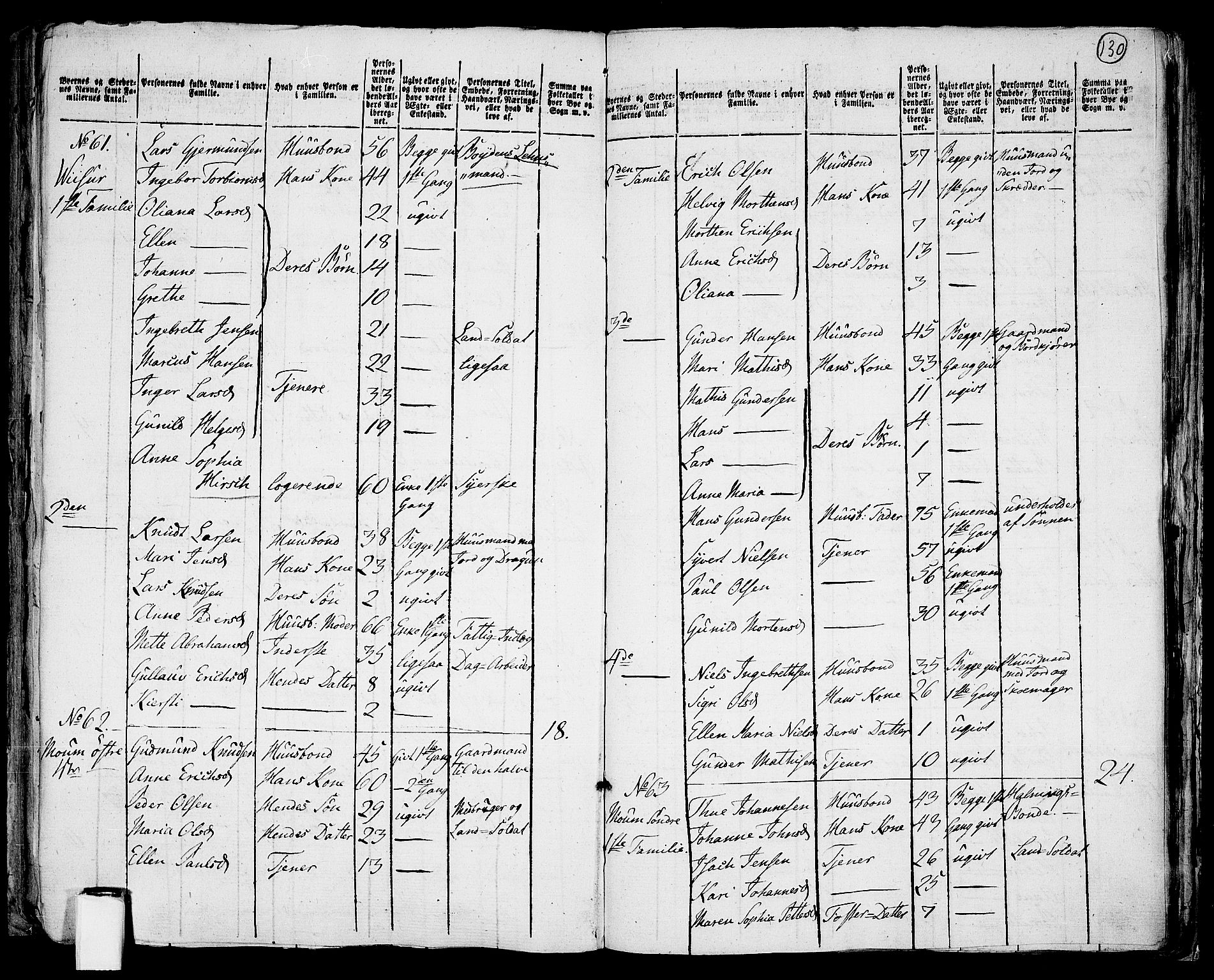RA, 1801 census for 0113P Borge, 1801, p. 129b-130a