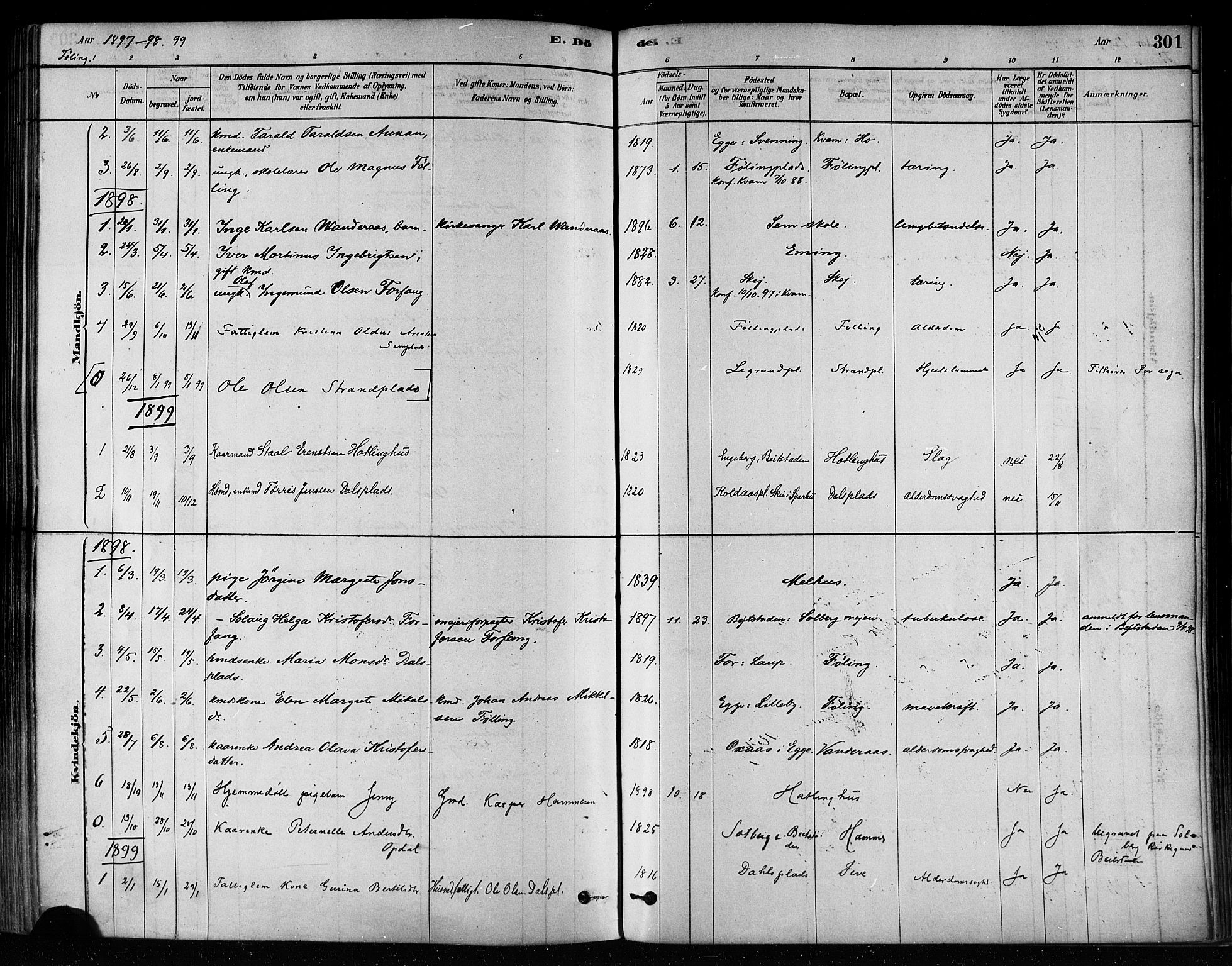 Ministerialprotokoller, klokkerbøker og fødselsregistre - Nord-Trøndelag, SAT/A-1458/746/L0449: Parish register (official) no. 746A07 /3, 1878-1899, p. 301