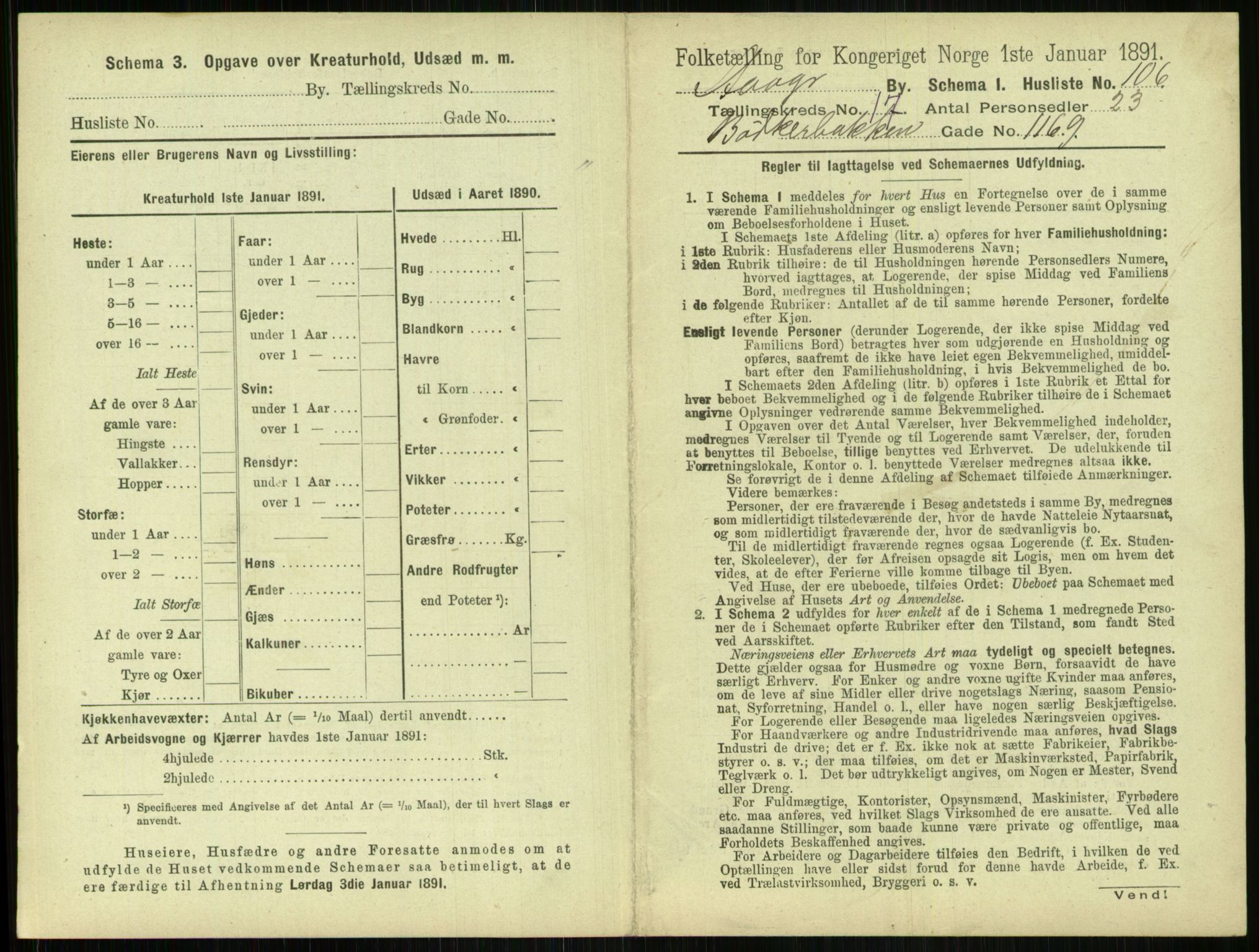 RA, 1891 census for 1103 Stavanger, 1891, p. 3395