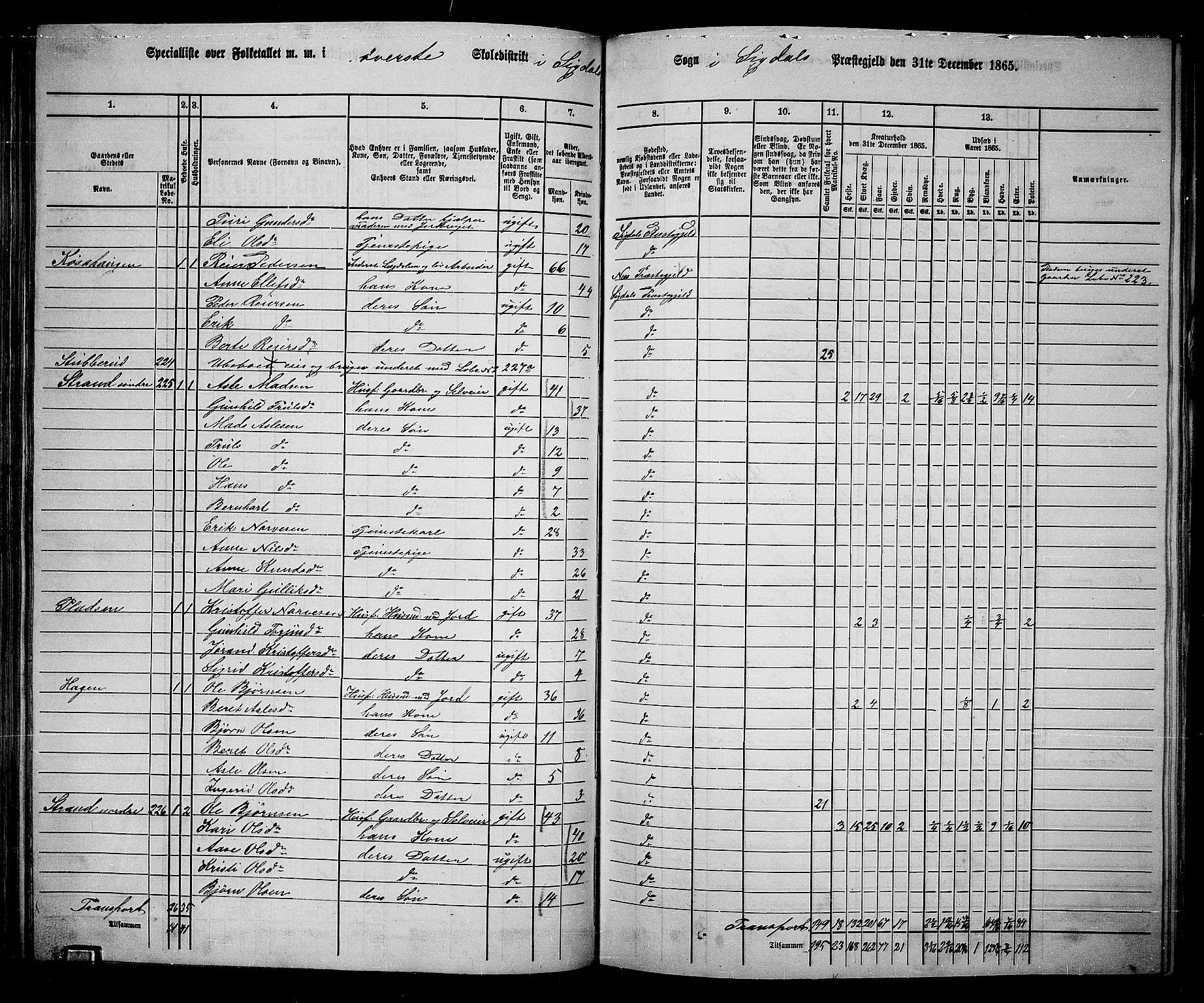 RA, 1865 census for Sigdal, 1865, p. 126