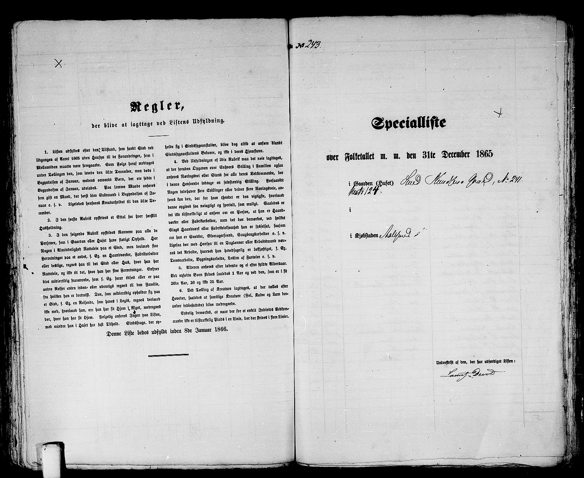 RA, 1865 census for Ålesund, 1865, p. 507