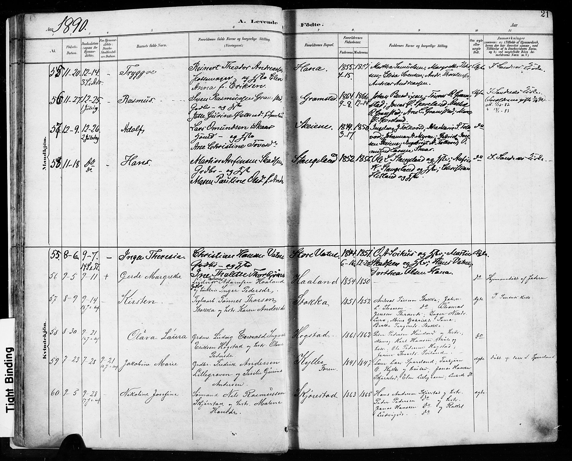 Høyland sokneprestkontor, AV/SAST-A-101799/001/30BA/L0013: Parish register (official) no. A 13.1, 1889-1898, p. 21