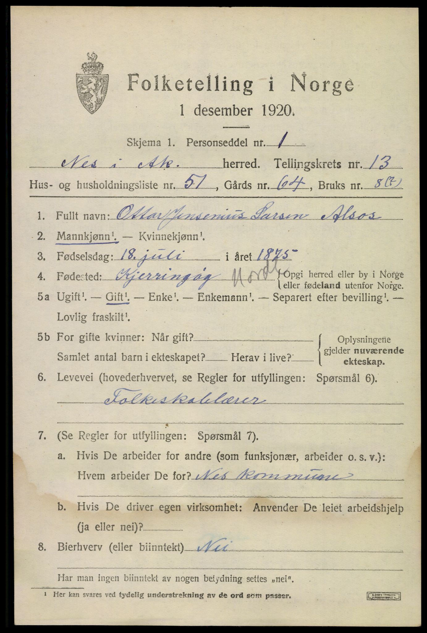 SAO, 1920 census for Nes, 1920, p. 13940