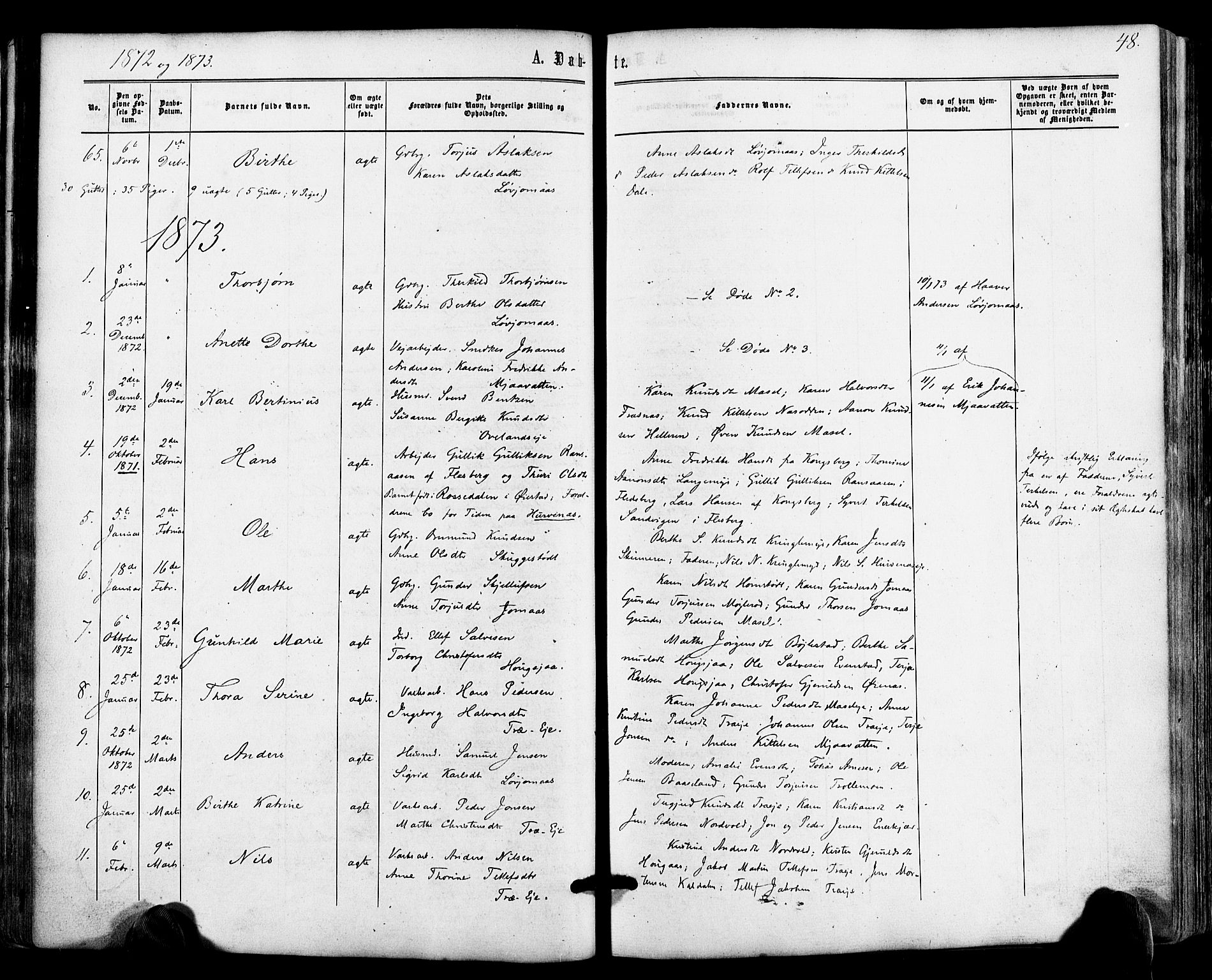 Froland sokneprestkontor, AV/SAK-1111-0013/F/Fa/L0003: Parish register (official) no. A 3, 1864-1881, p. 48