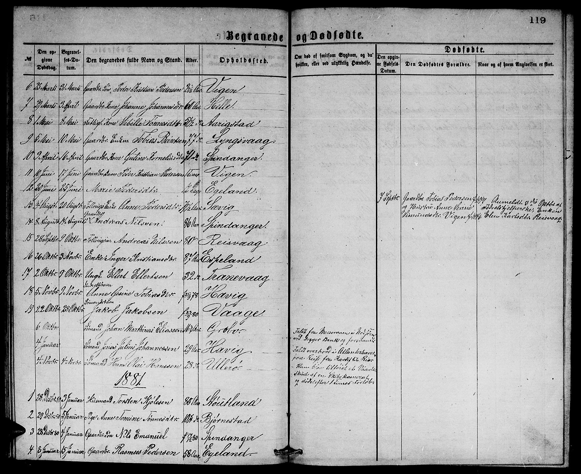 Herad sokneprestkontor, AV/SAK-1111-0018/F/Fb/Fbb/L0003: Parish register (copy) no. B 3, 1872-1889, p. 119