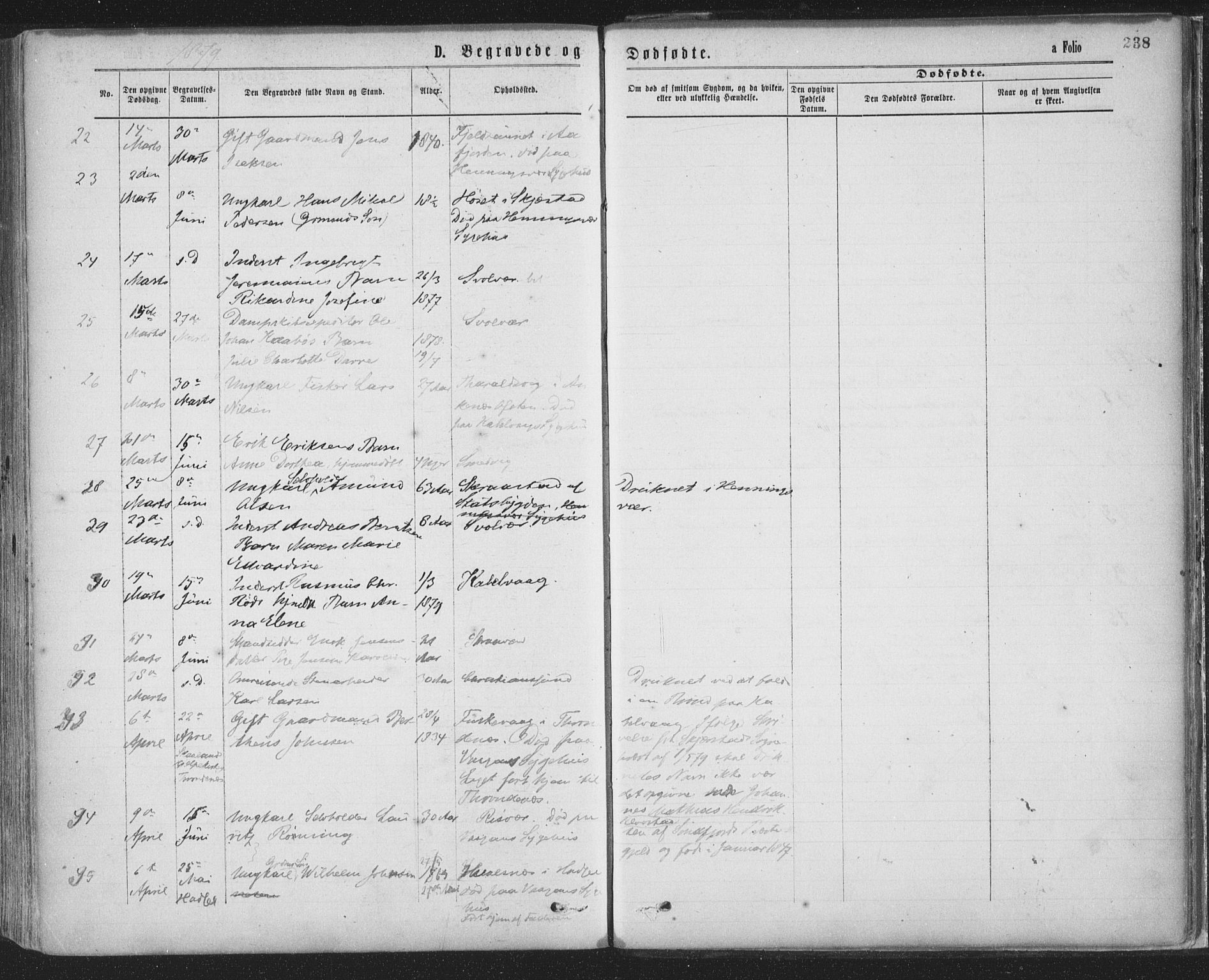 Ministerialprotokoller, klokkerbøker og fødselsregistre - Nordland, SAT/A-1459/874/L1058: Parish register (official) no. 874A02, 1878-1883, p. 238