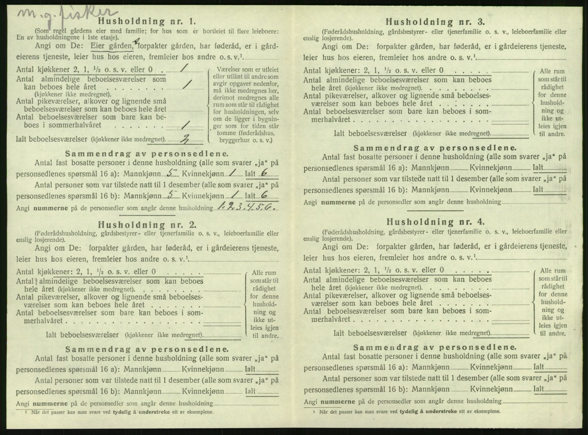 SAT, 1920 census for Hopen, 1920, p. 291