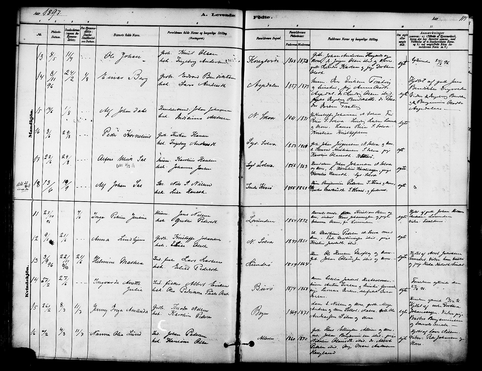 Ministerialprotokoller, klokkerbøker og fødselsregistre - Nordland, AV/SAT-A-1459/839/L0568: Parish register (official) no. 839A05, 1880-1902, p. 117