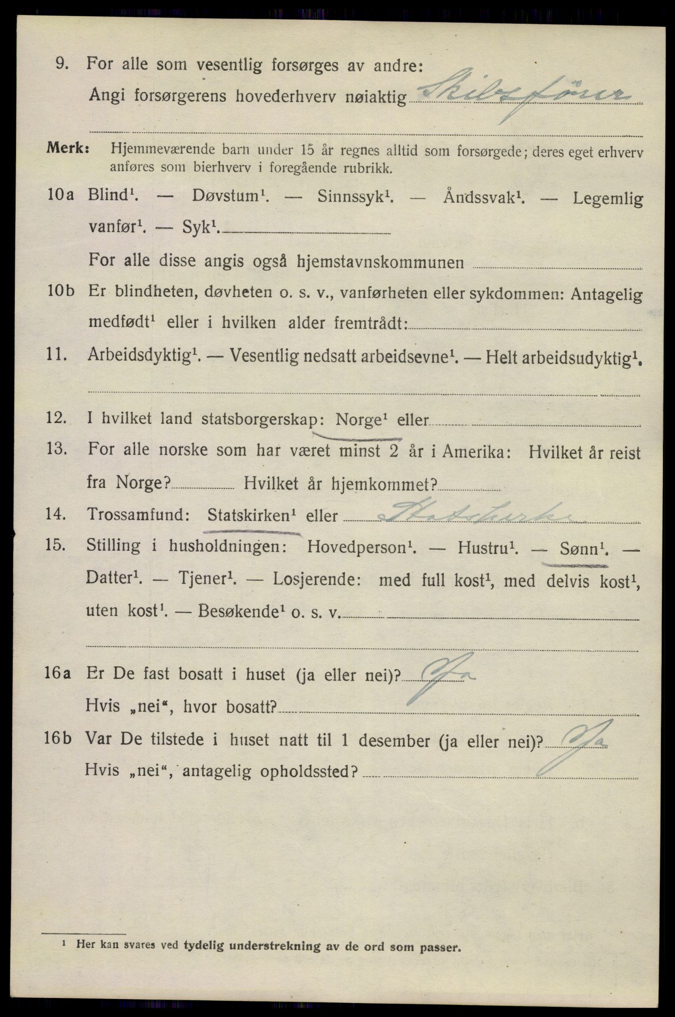 SAKO, 1920 census for Kragerø, 1920, p. 12988