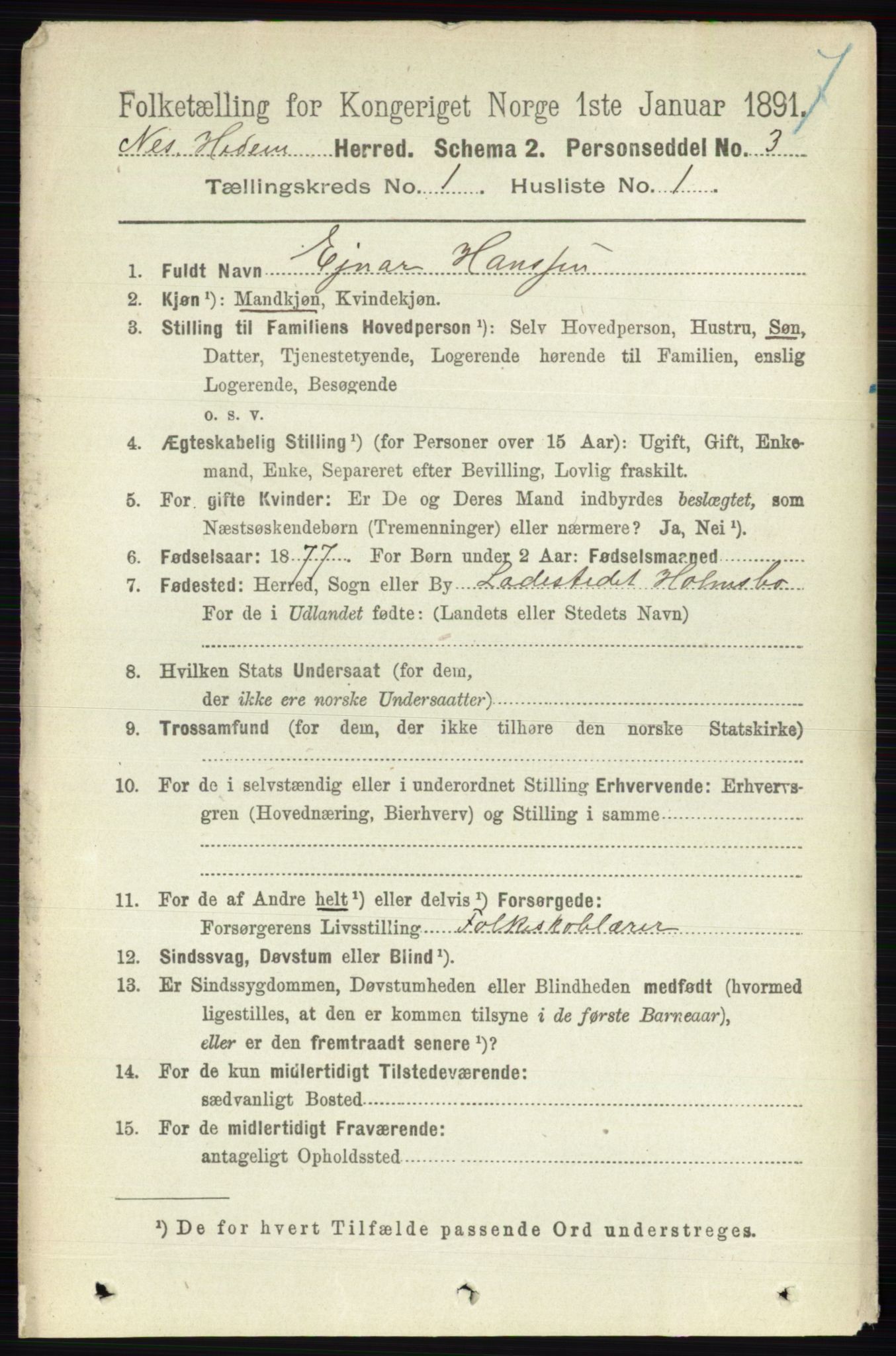 RA, 1891 census for 0411 Nes, 1891, p. 161