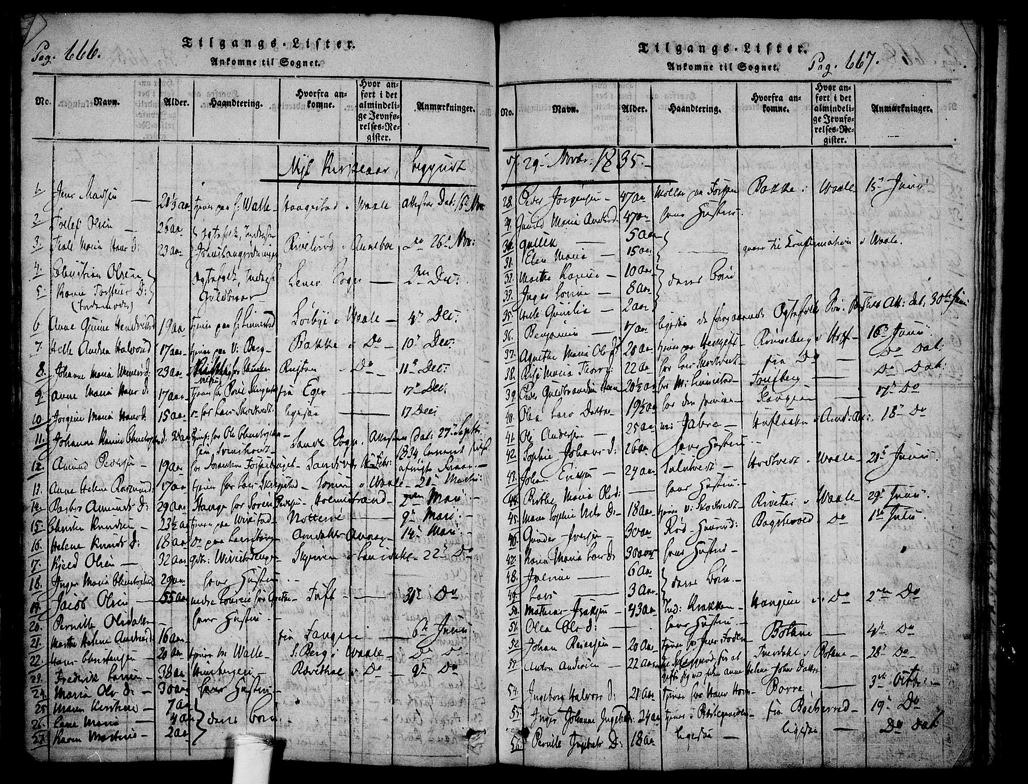 Ramnes kirkebøker, AV/SAKO-A-314/F/Fa/L0004: Parish register (official) no. I 4, 1813-1840, p. 666-667