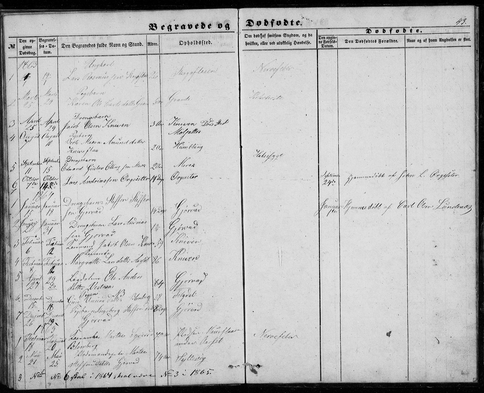 Ministerialprotokoller, klokkerbøker og fødselsregistre - Møre og Romsdal, SAT/A-1454/518/L0234: Parish register (copy) no. 518C01, 1854-1884, p. 43