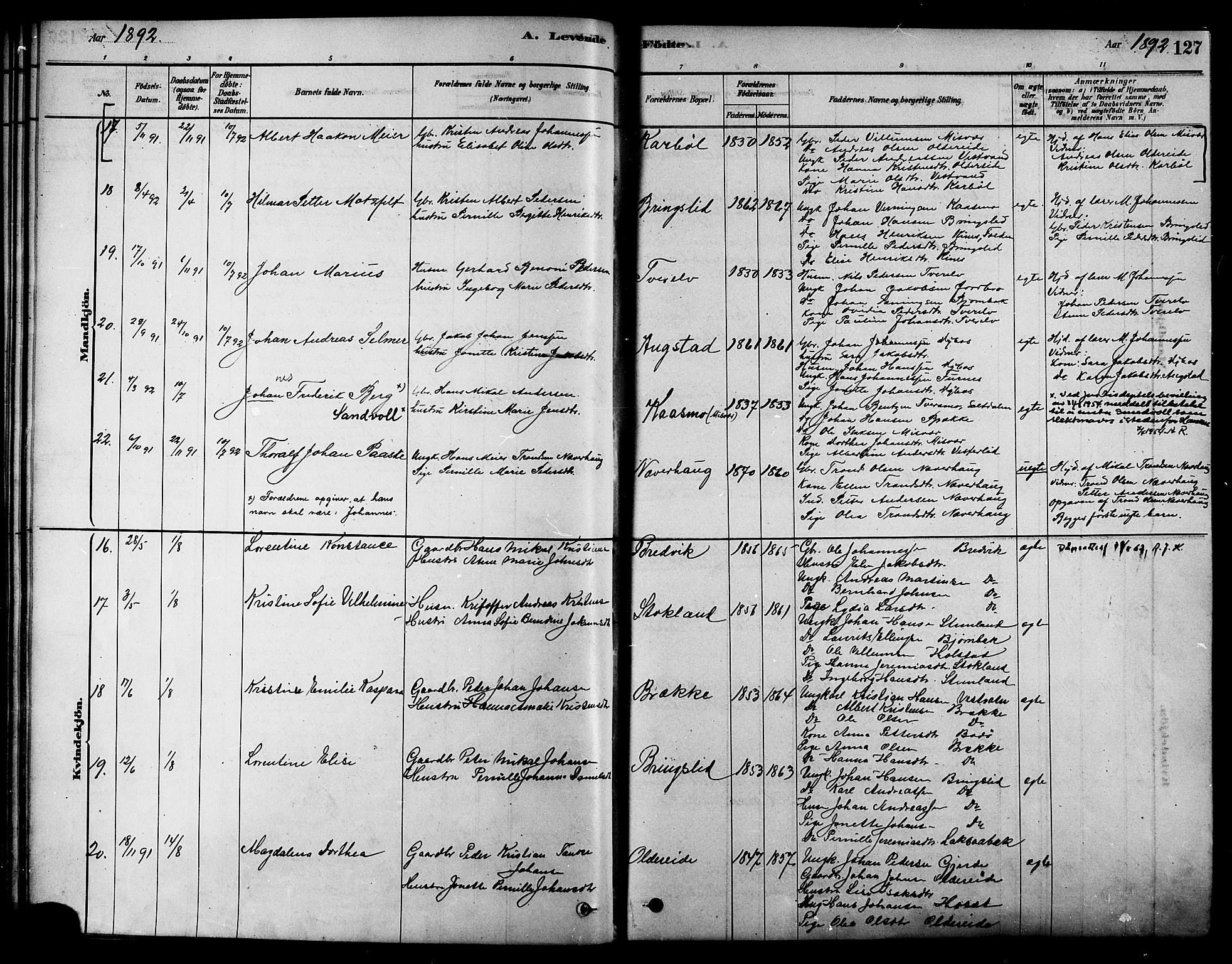 Ministerialprotokoller, klokkerbøker og fødselsregistre - Nordland, AV/SAT-A-1459/852/L0740: Parish register (official) no. 852A10, 1878-1894, p. 127