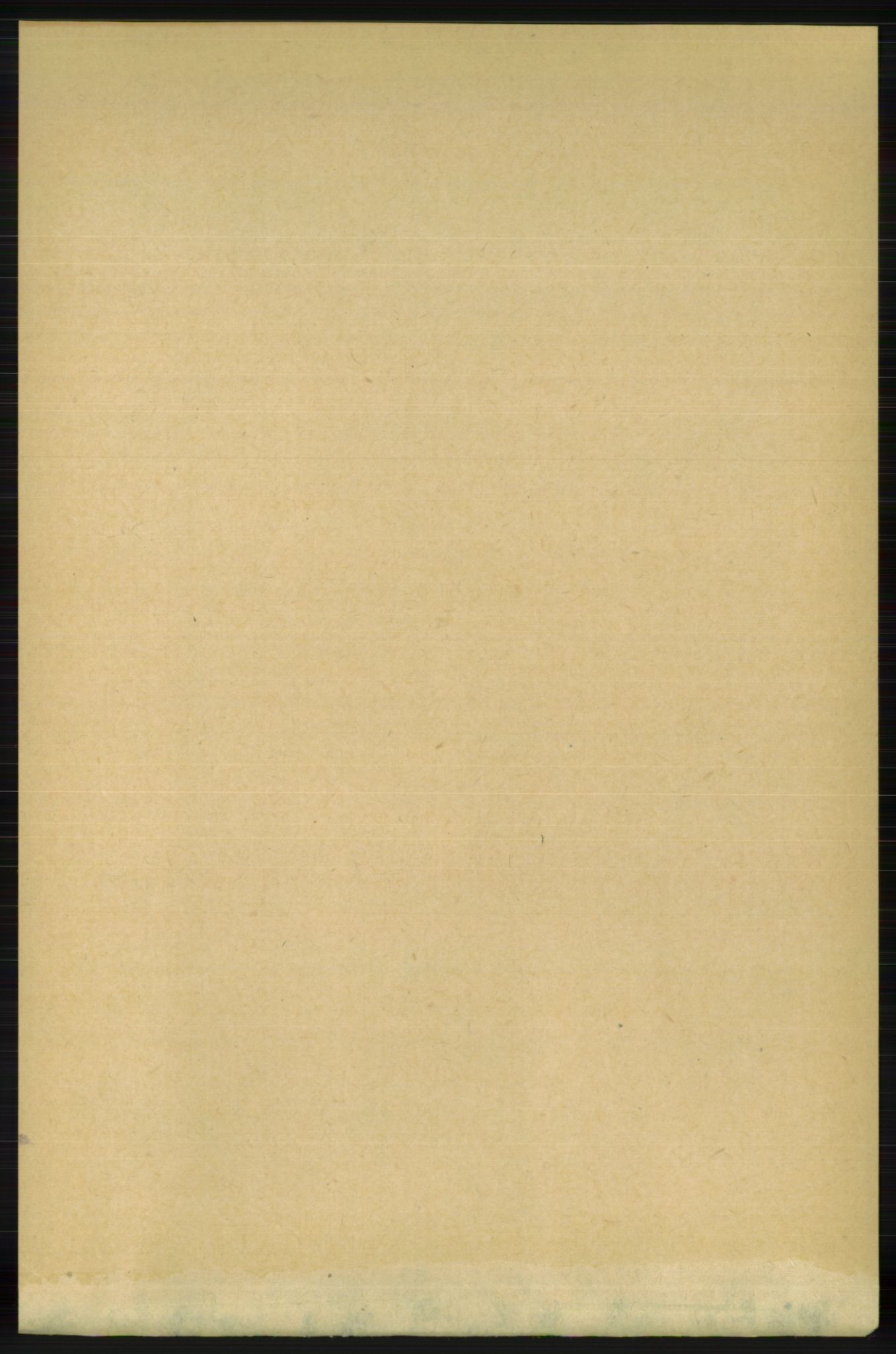 RA, 1891 census for 1129 Forsand, 1891, p. 2218