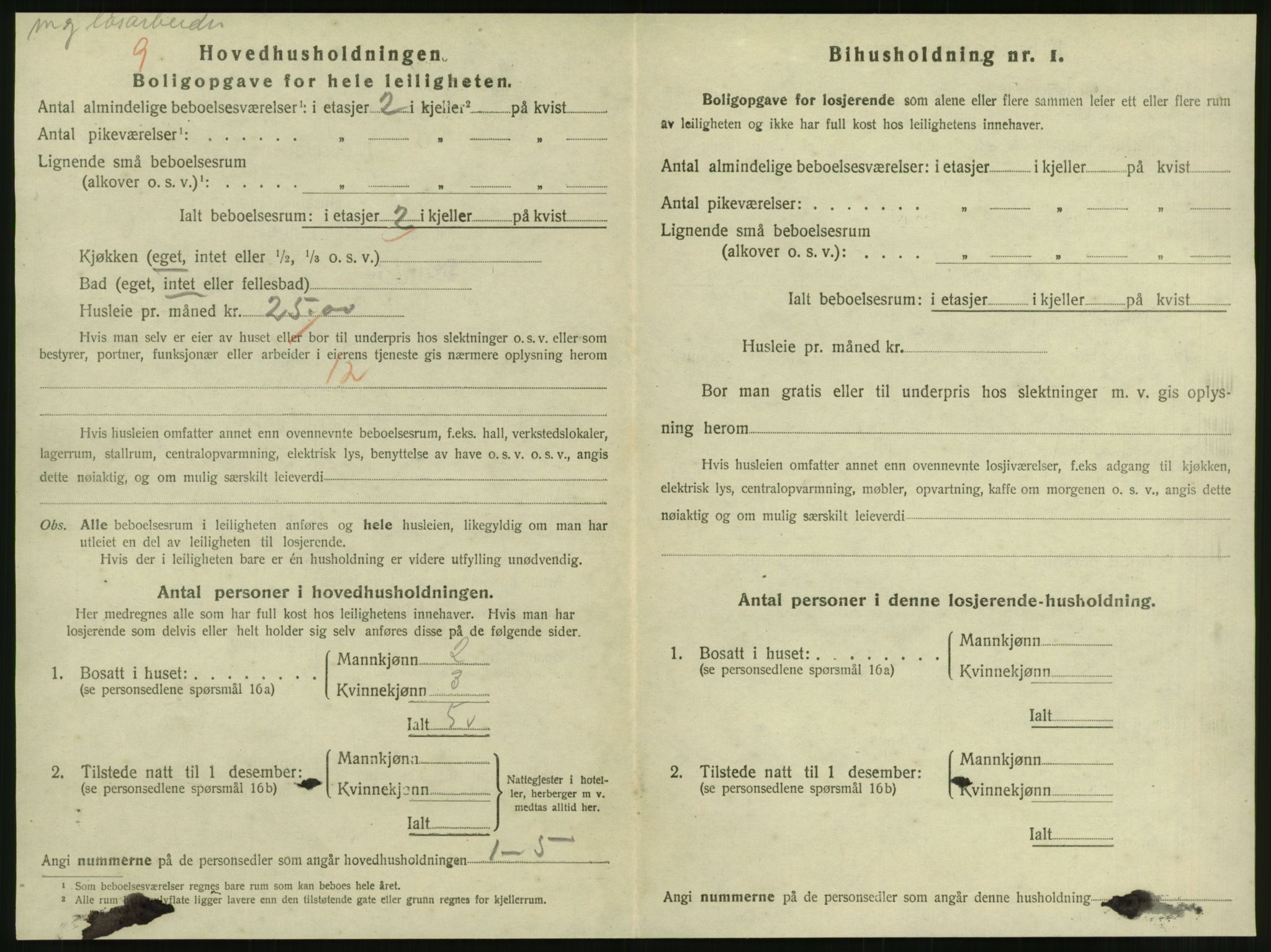 SAT, 1920 census for Steinkjer, 1920, p. 1129