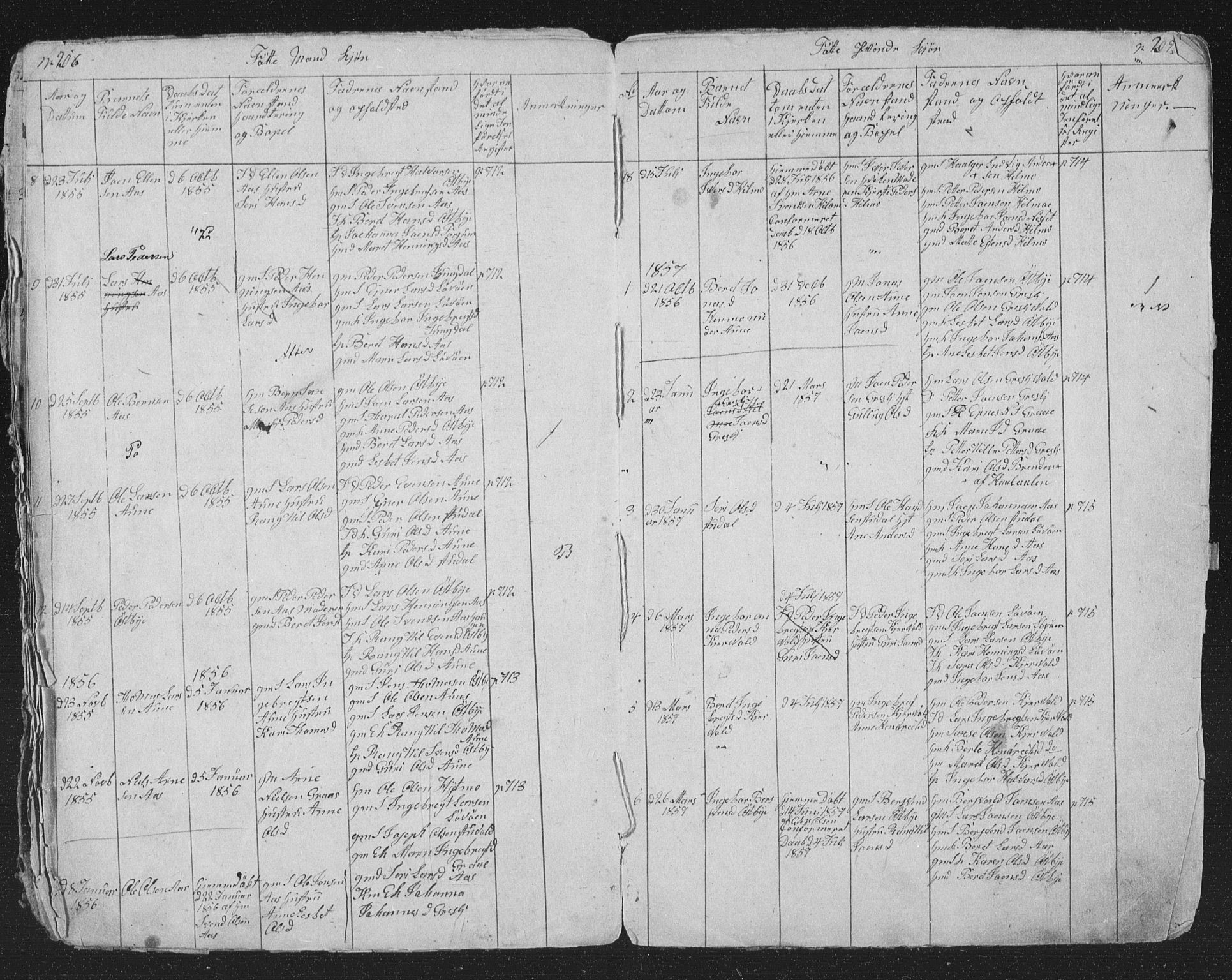 Ministerialprotokoller, klokkerbøker og fødselsregistre - Sør-Trøndelag, SAT/A-1456/698/L1165: Parish register (copy) no. 698C02, 1851-1861, p. 206-207