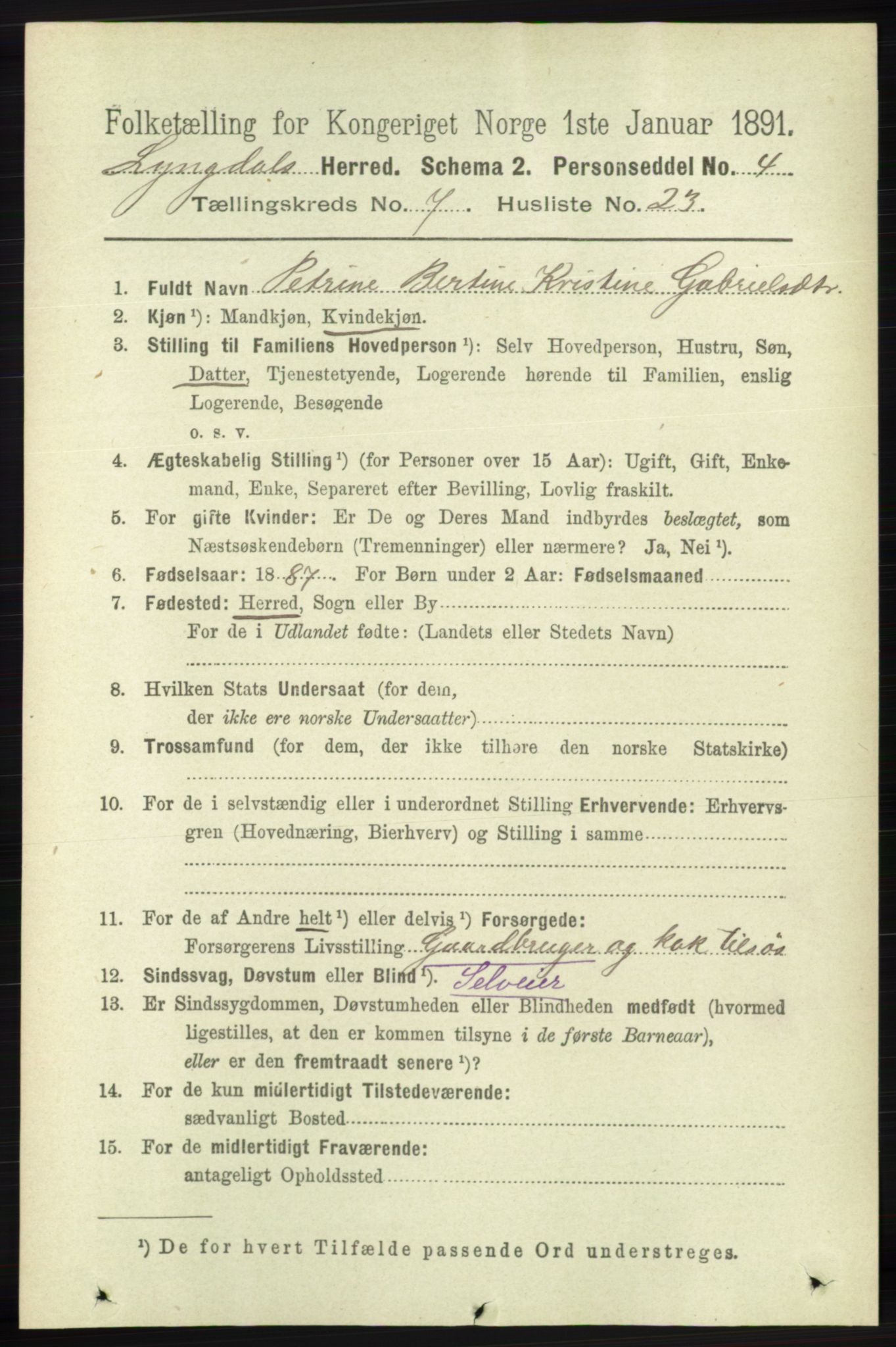 RA, 1891 census for 1032 Lyngdal, 1891, p. 3044