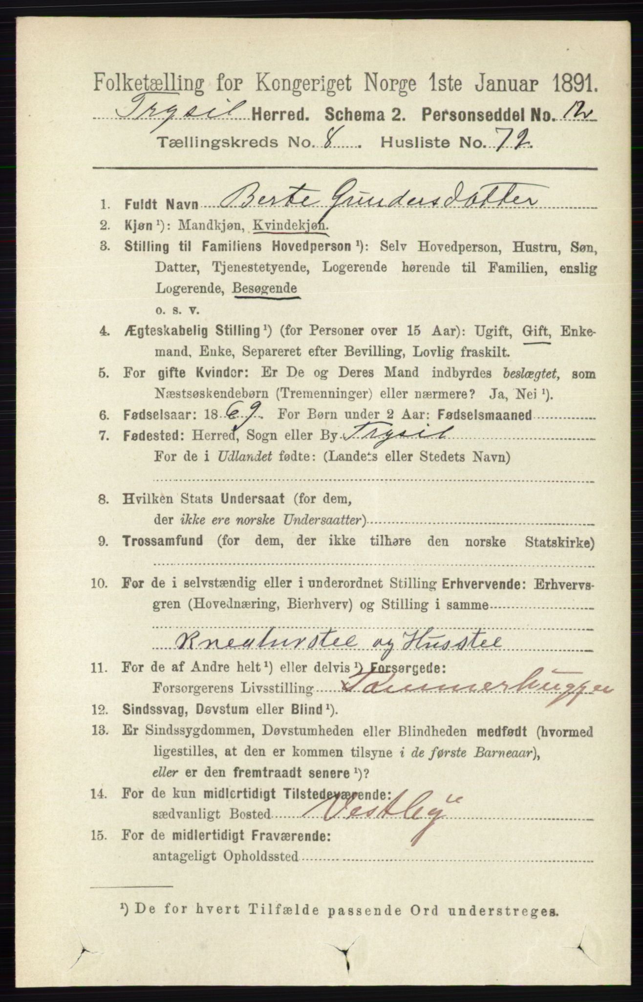 RA, 1891 census for 0428 Trysil, 1891, p. 4090