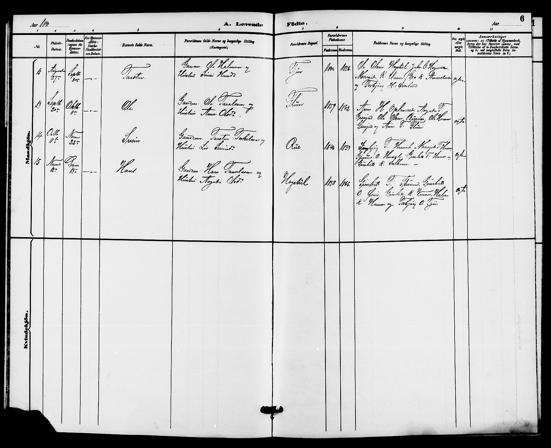 Hjartdal kirkebøker, SAKO/A-270/G/Gc/L0003: Parish register (copy) no. III 3, 1890-1907, p. 6