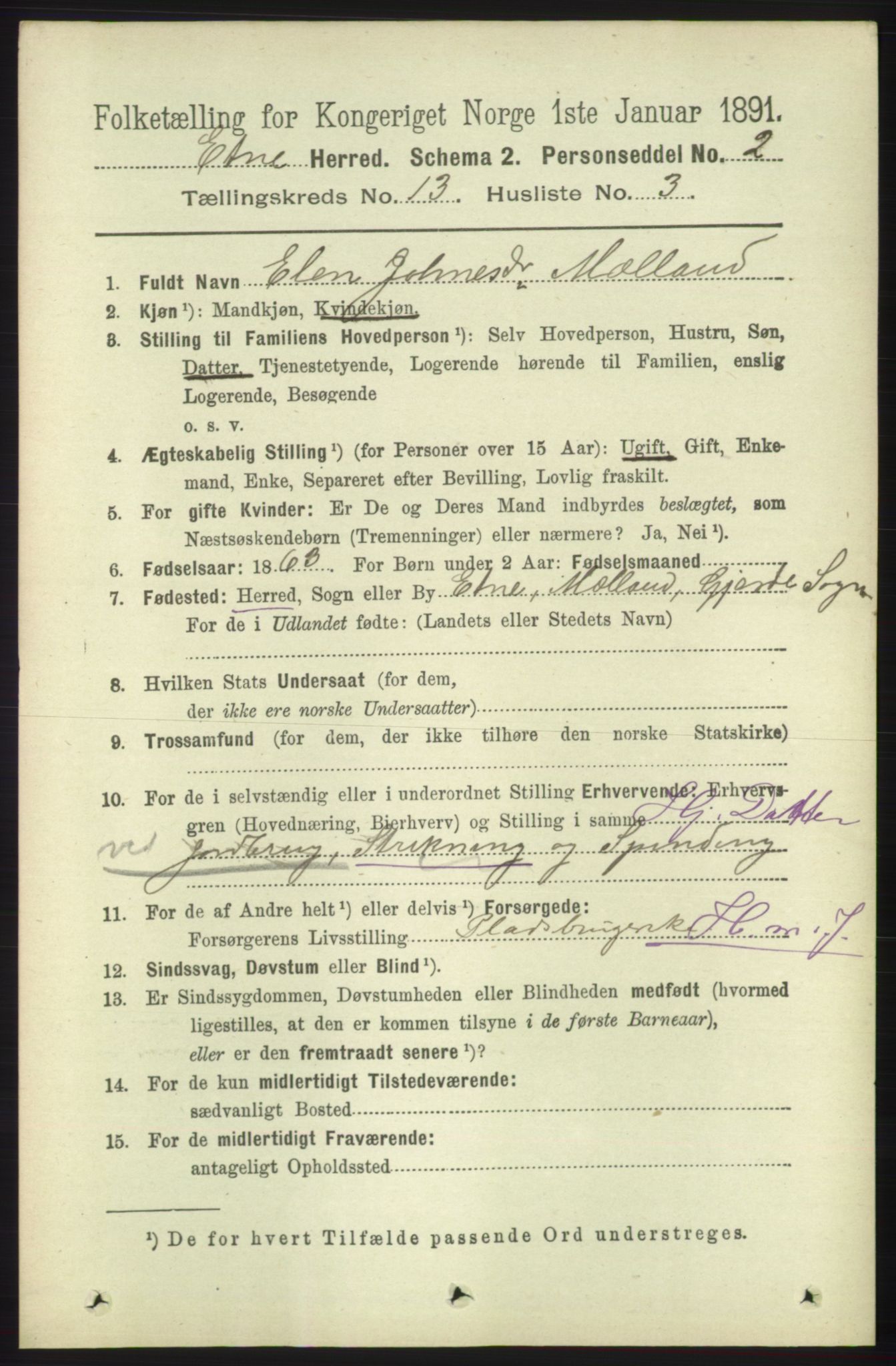 RA, 1891 census for 1211 Etne, 1891, p. 2748