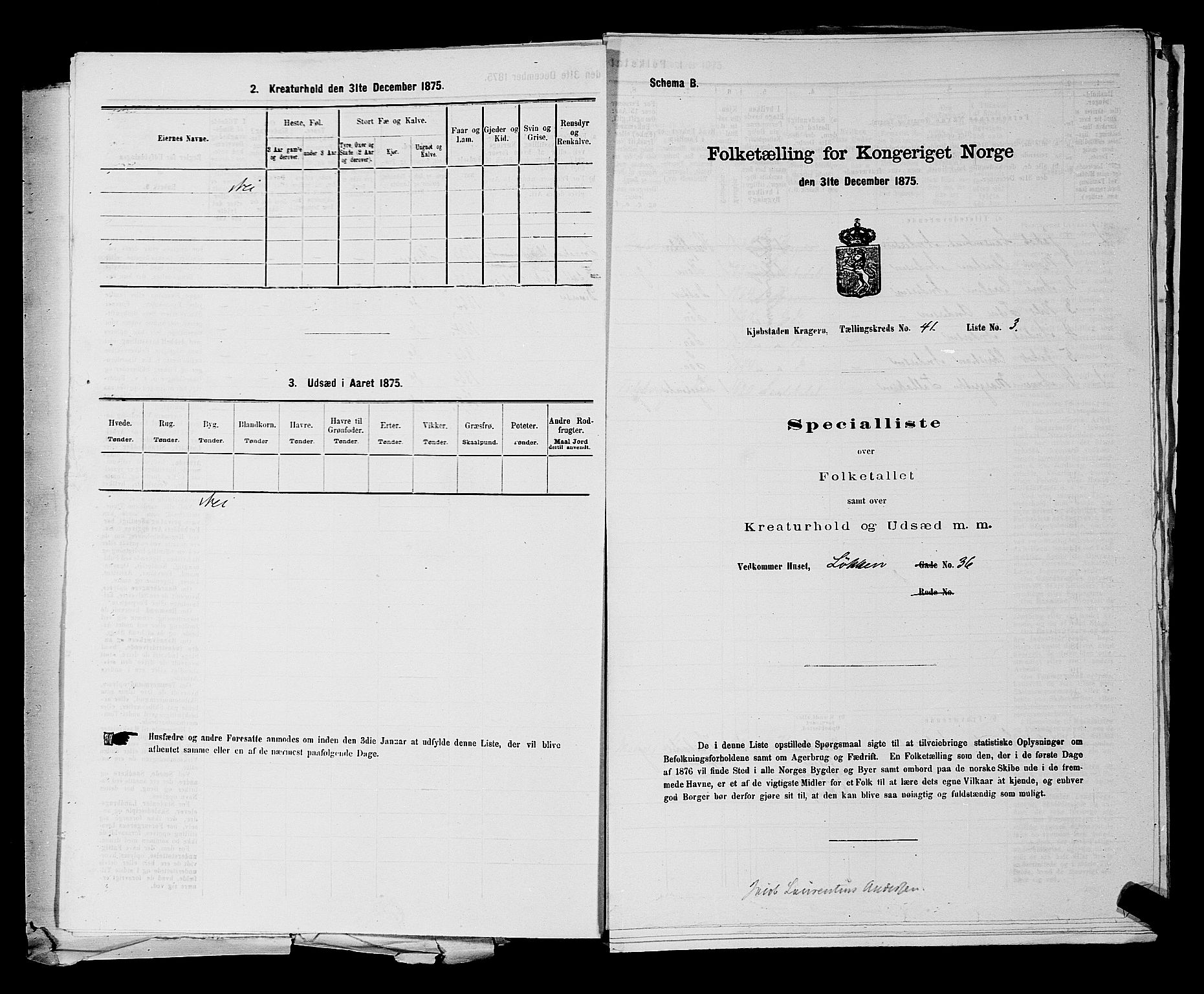 SAKO, 1875 census for 0801P Kragerø, 1875, p. 899