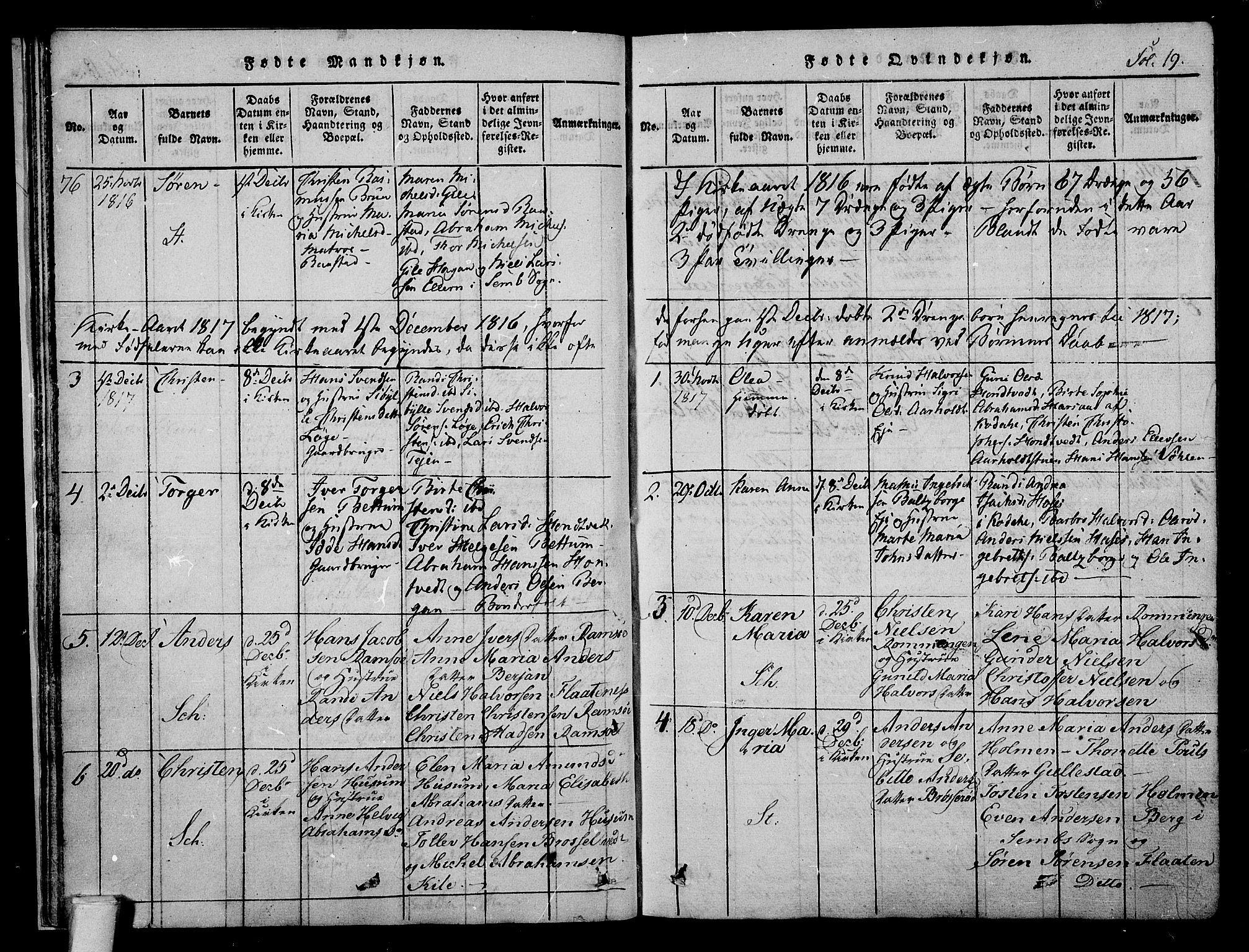Stokke kirkebøker, SAKO/A-320/F/Fa/L0005: Parish register (official) no. I 5, 1815-1826, p. 19