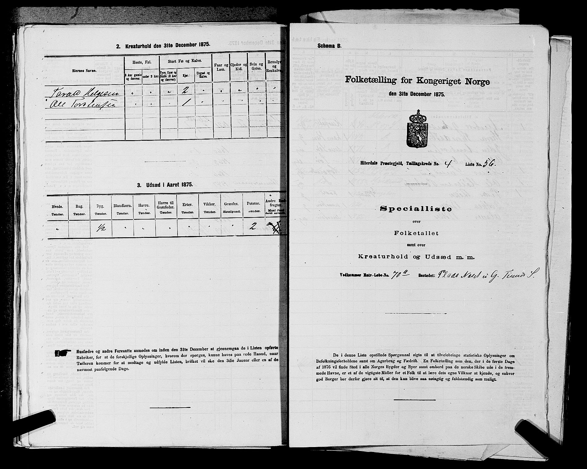 SAKO, 1875 census for 0823P Heddal, 1875, p. 696