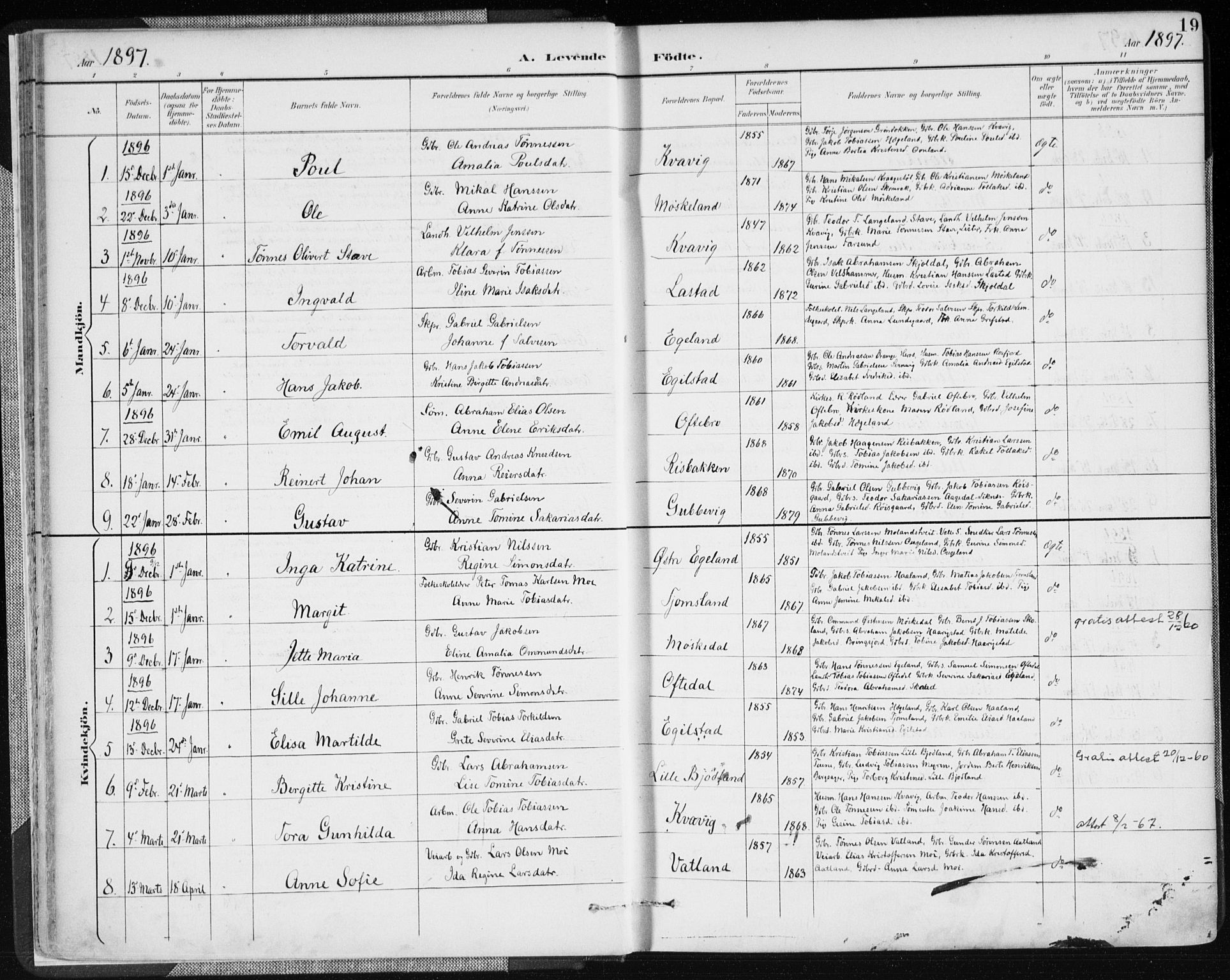 Lyngdal sokneprestkontor, AV/SAK-1111-0029/F/Fa/Fac/L0012: Parish register (official) no. A 12, 1894-1918, p. 19