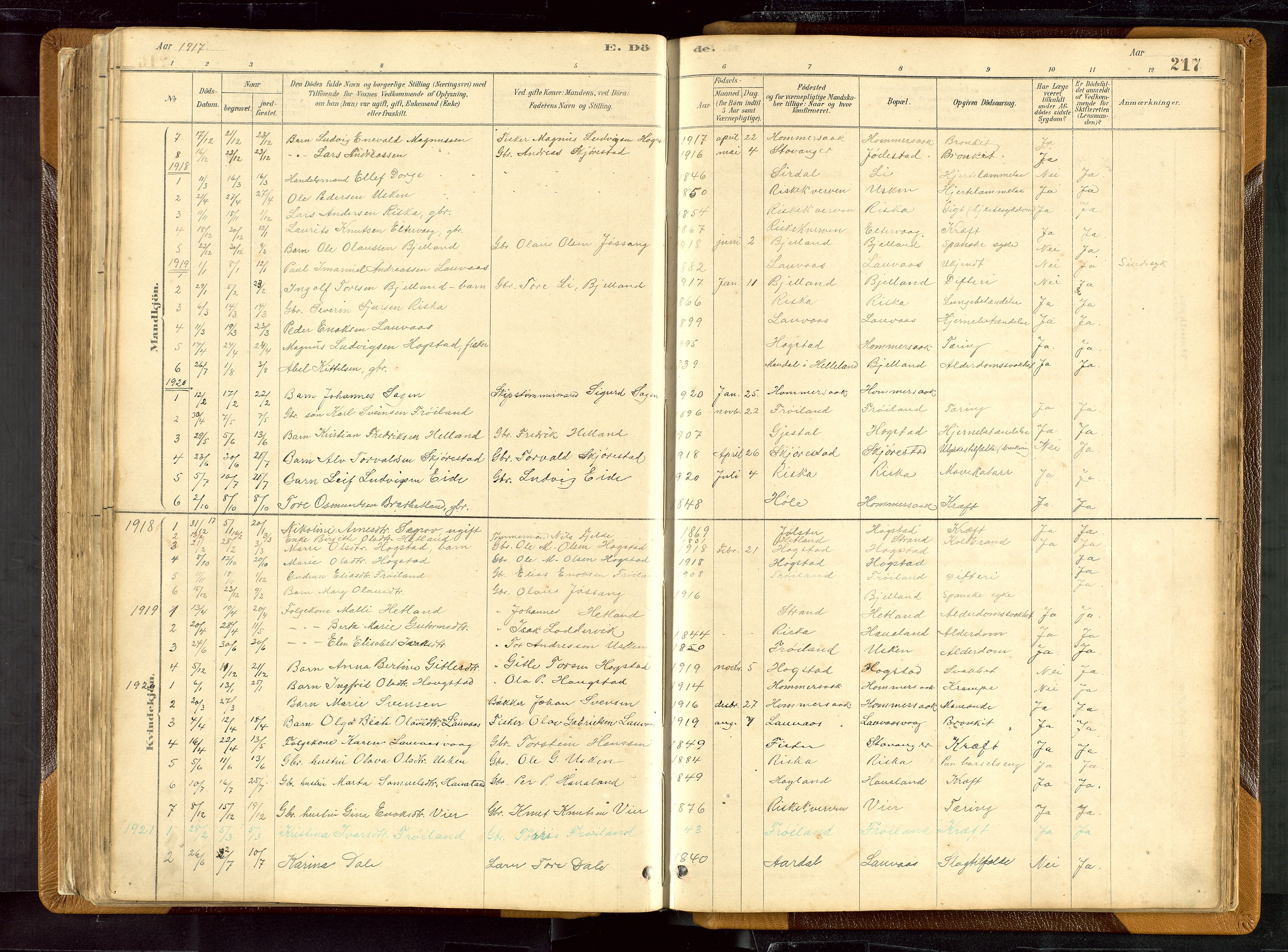 Hetland sokneprestkontor, SAST/A-101826/30/30BB/L0007: Parish register (copy) no. B 7, 1878-1910, p. 217