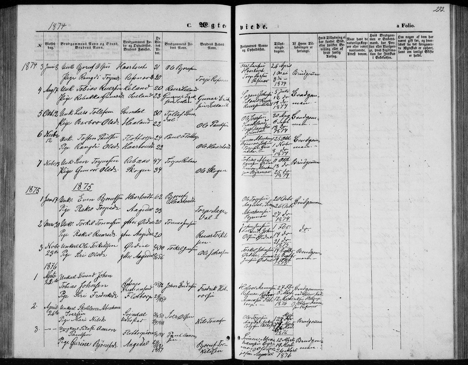 Bjelland sokneprestkontor, SAK/1111-0005/F/Fb/Fbc/L0002: Parish register (copy) no. B 2, 1867-1887, p. 223