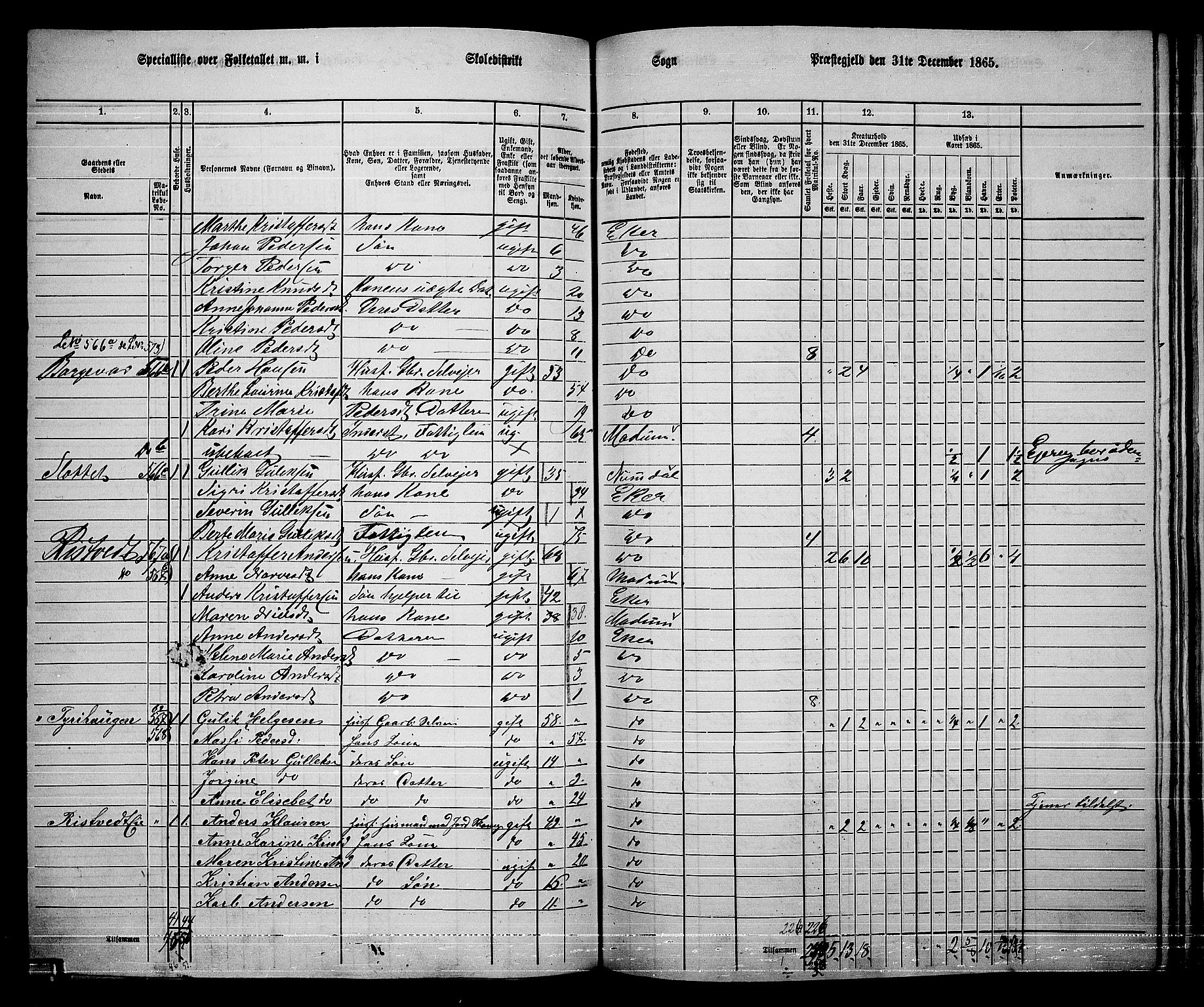 RA, 1865 census for Eiker, 1865, p. 422