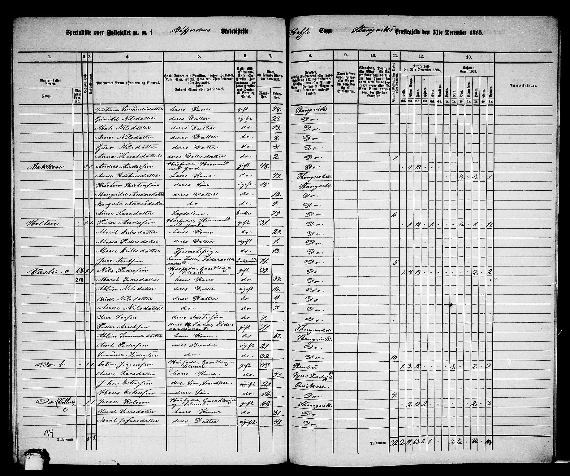 RA, 1865 census for Stangvik, 1865, p. 178