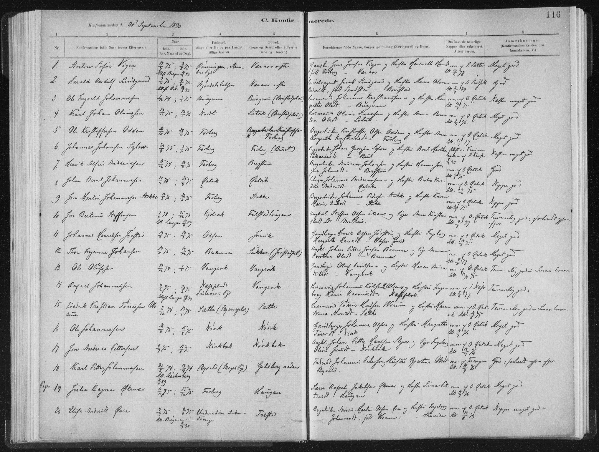 Ministerialprotokoller, klokkerbøker og fødselsregistre - Nord-Trøndelag, SAT/A-1458/722/L0220: Parish register (official) no. 722A07, 1881-1908, p. 116