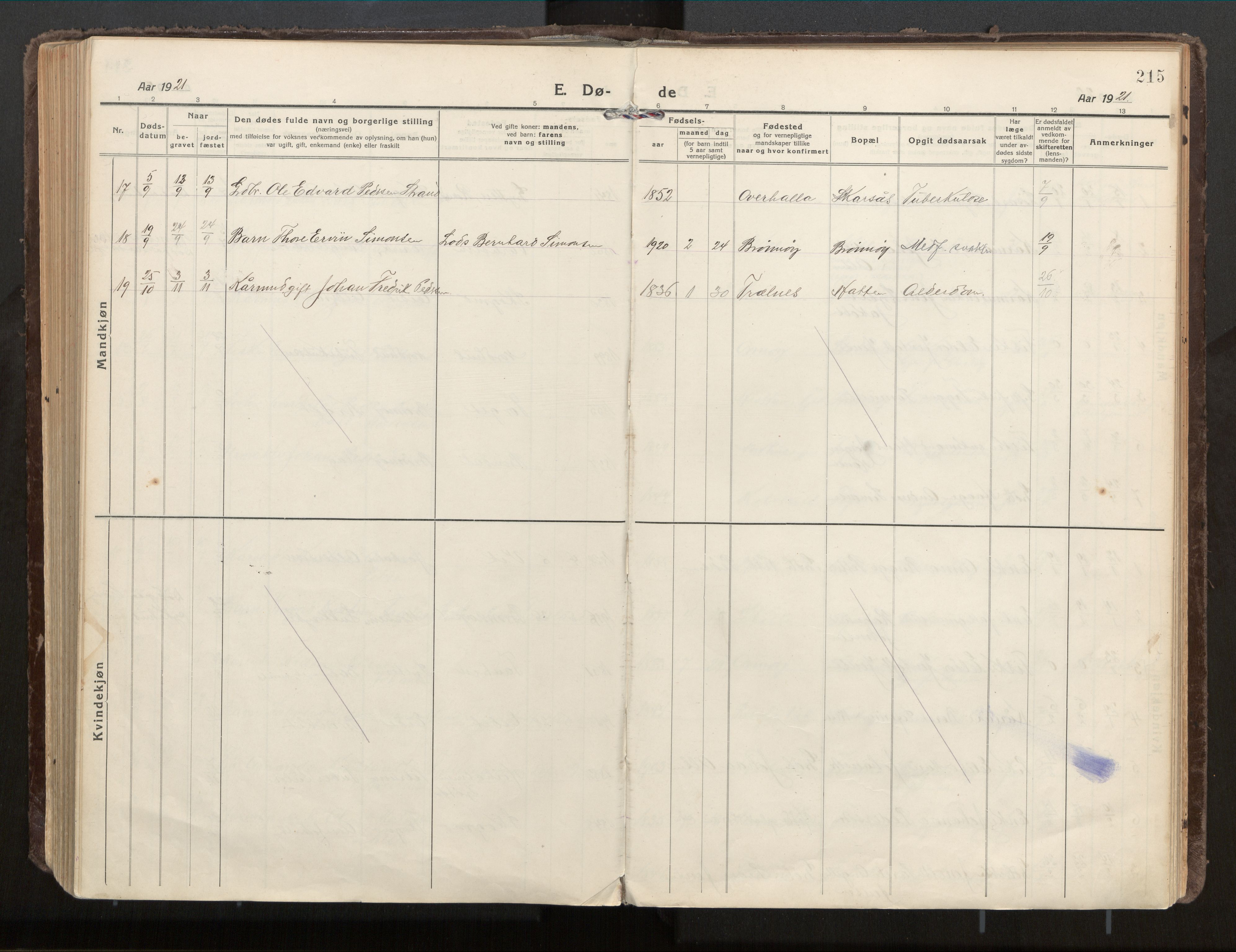 Ministerialprotokoller, klokkerbøker og fødselsregistre - Nordland, SAT/A-1459/813/L0207a: Parish register (official) no. 813A18, 1919-1927, p. 215