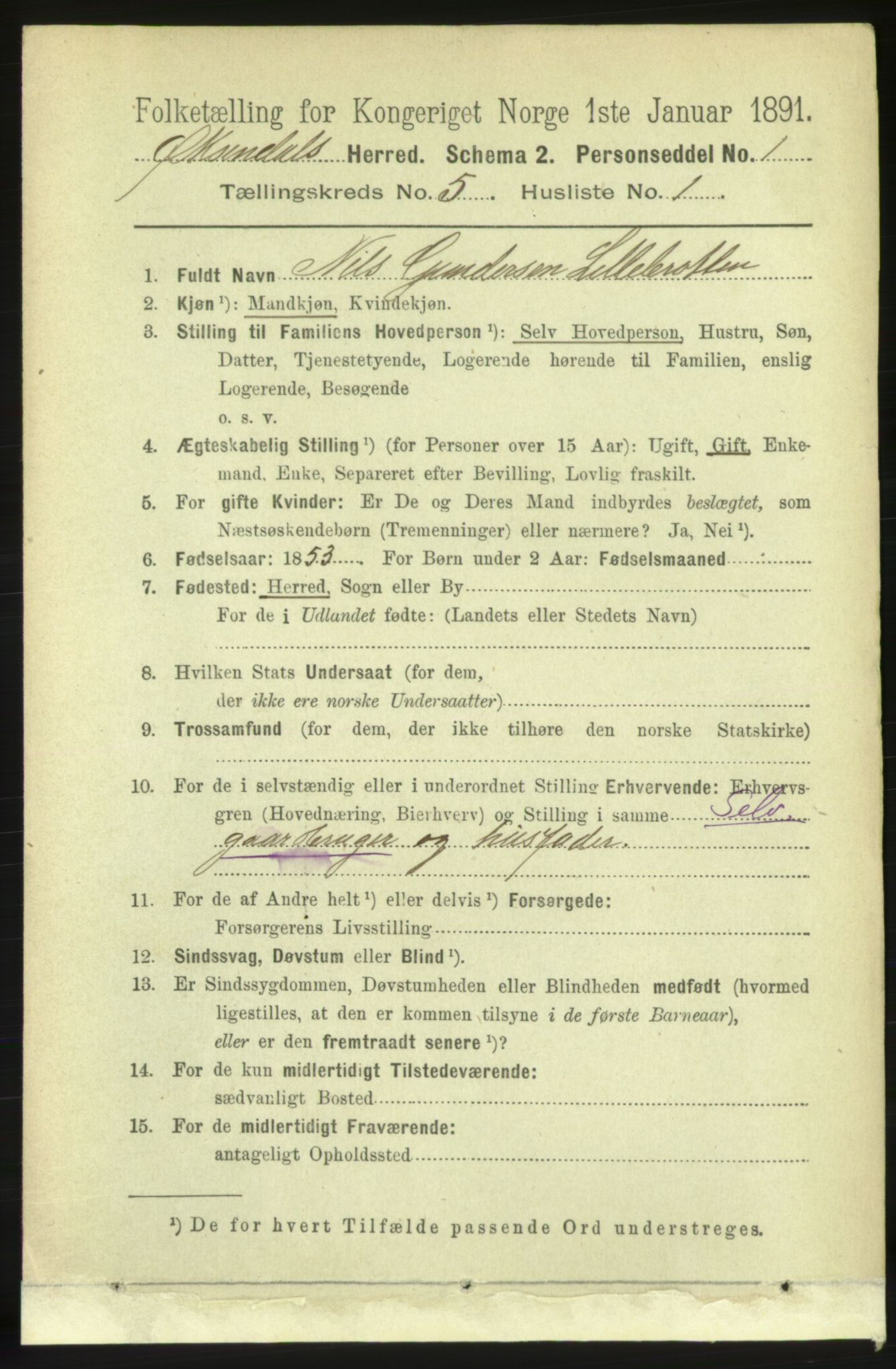 RA, 1891 census for 1561 Øksendal, 1891, p. 1028